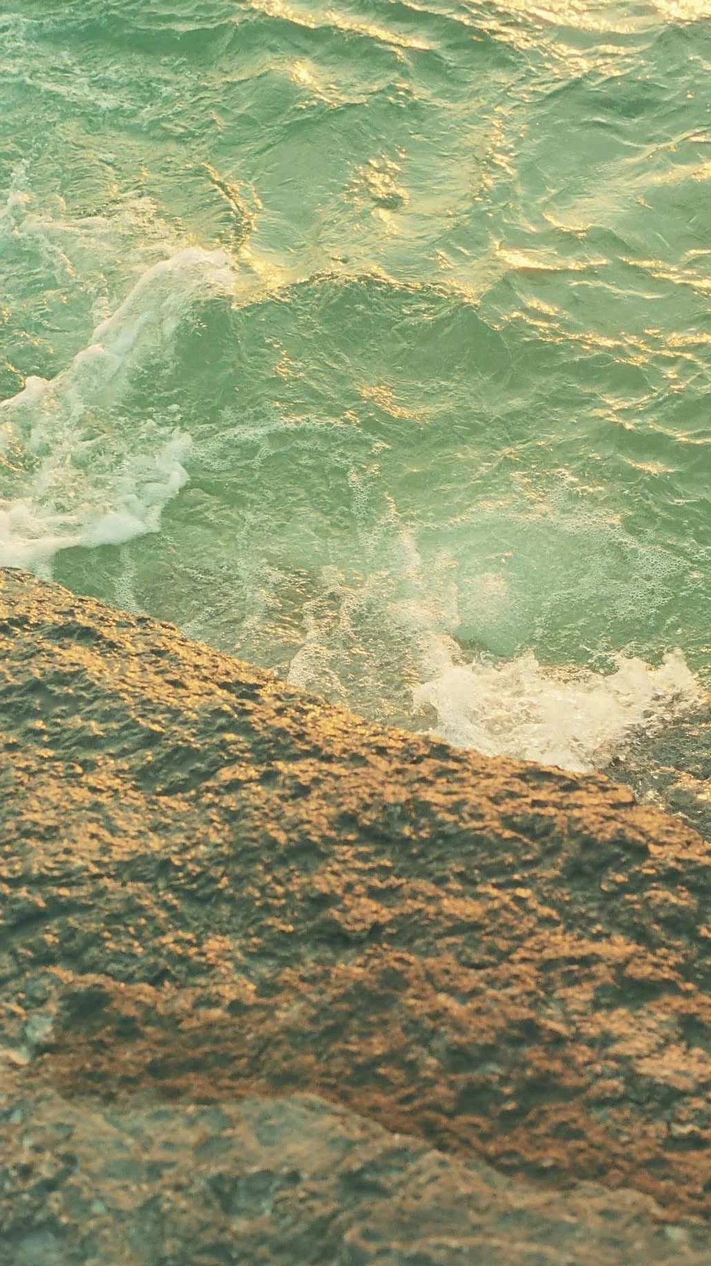 studio-free-folk-film-photo