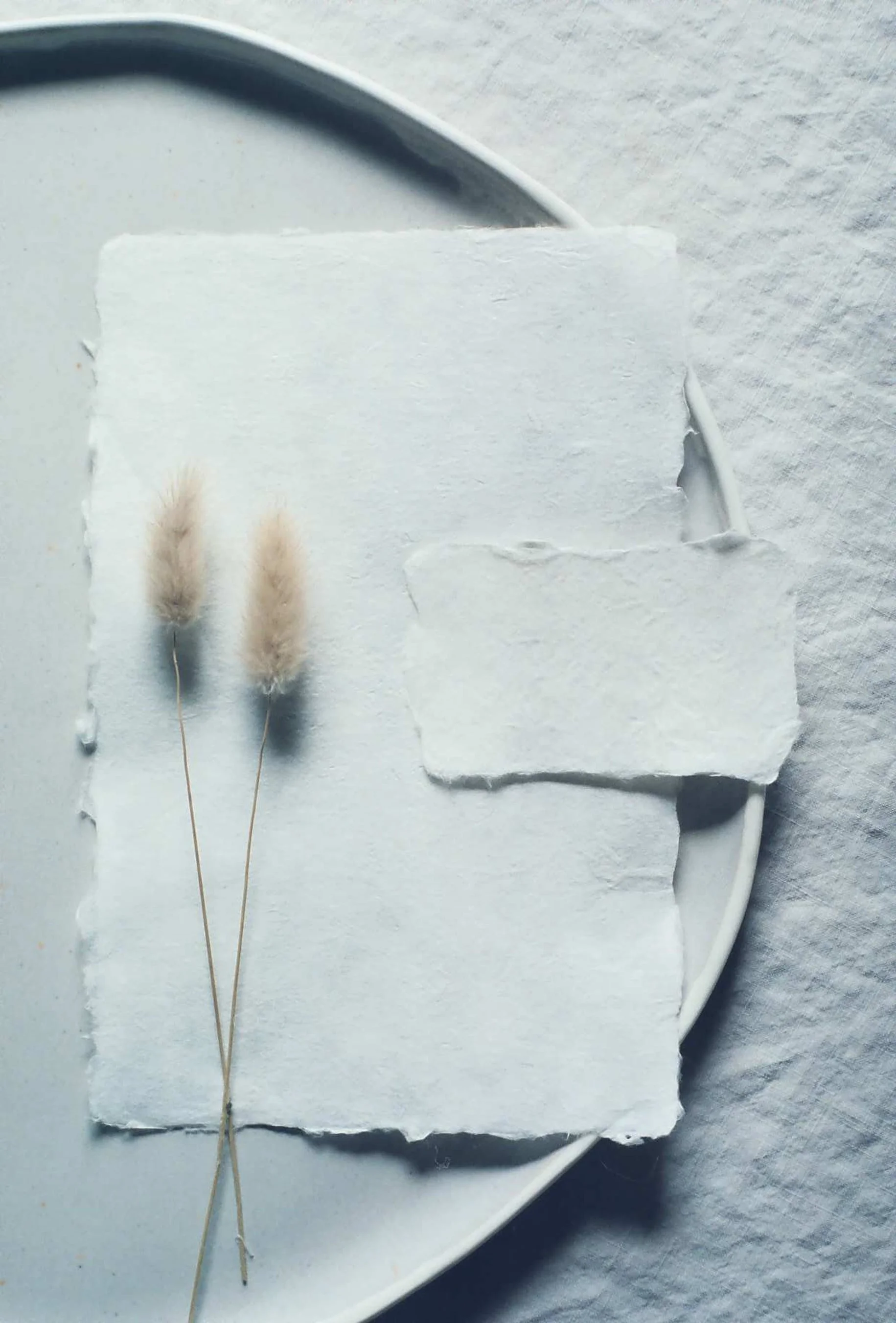 A minimalist still life featuring two pieces of textured white handmade paper and a single delicate sprig of beige grass.