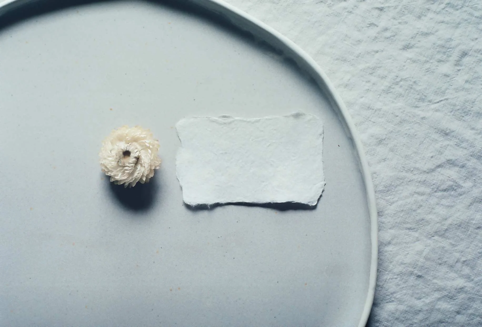 A single white dried flower resting on a piece of textured white paper on a round ceramic plate.