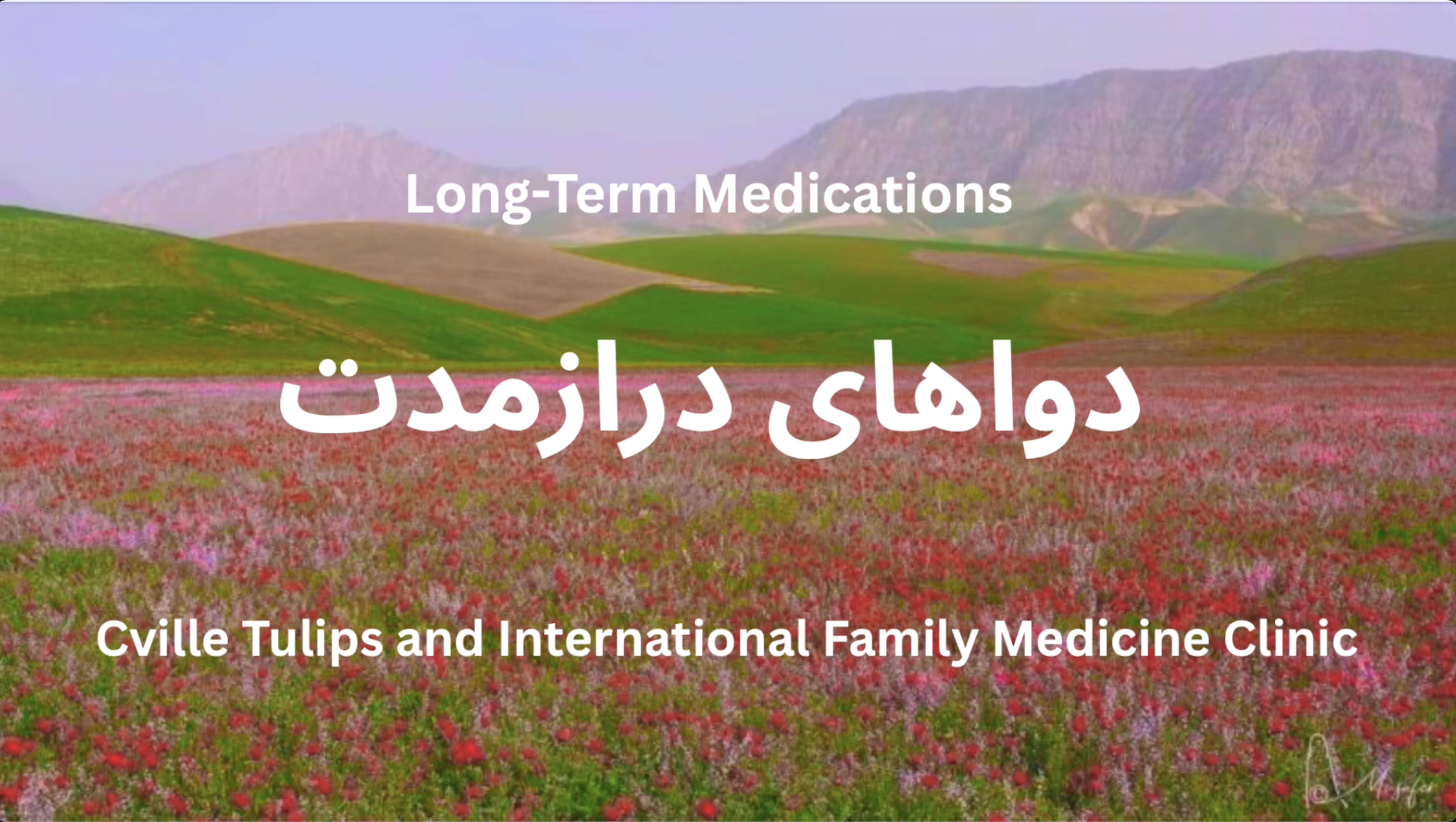 Related Video Item Thumbnail