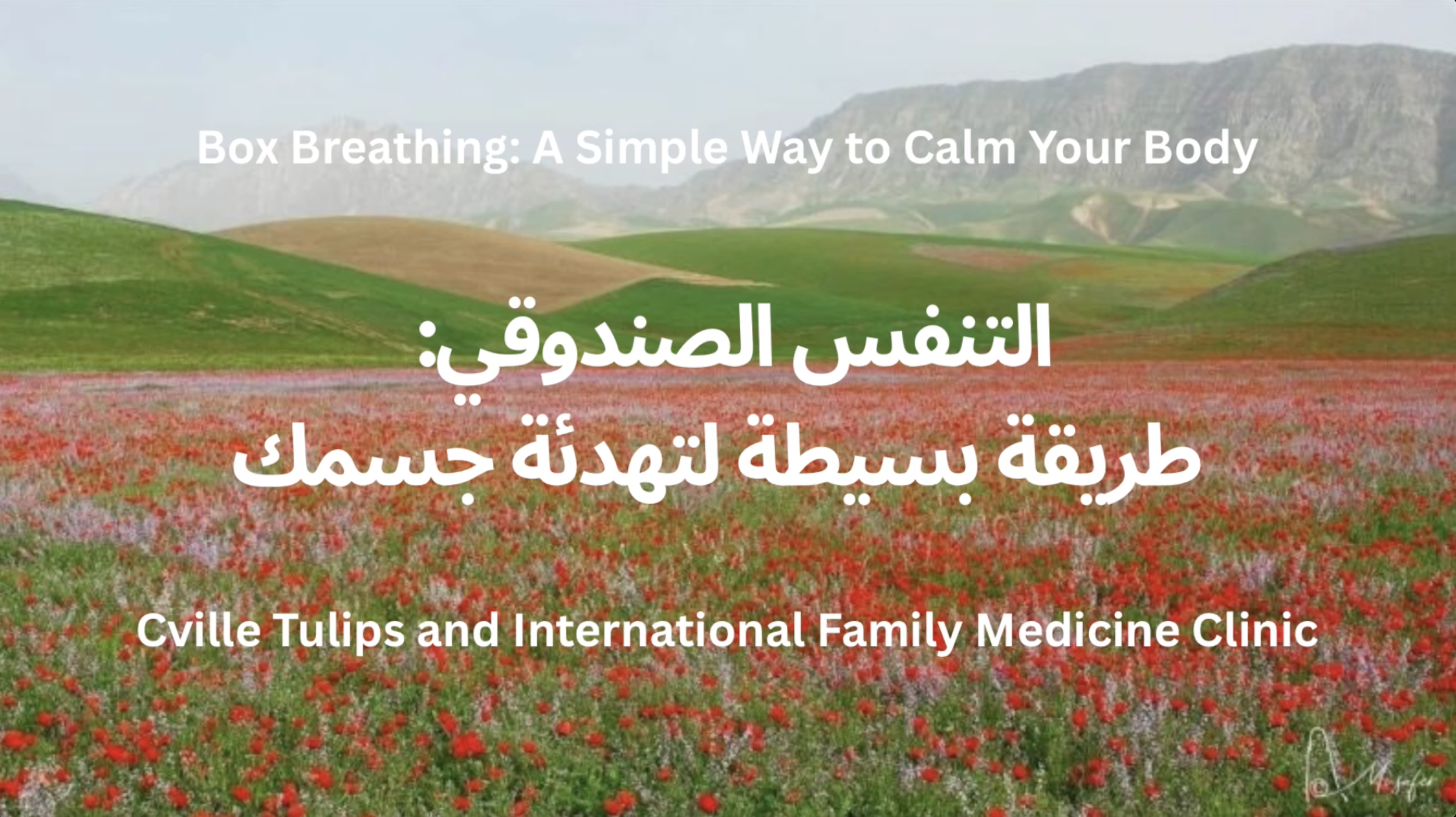 Related Video Item Thumbnail