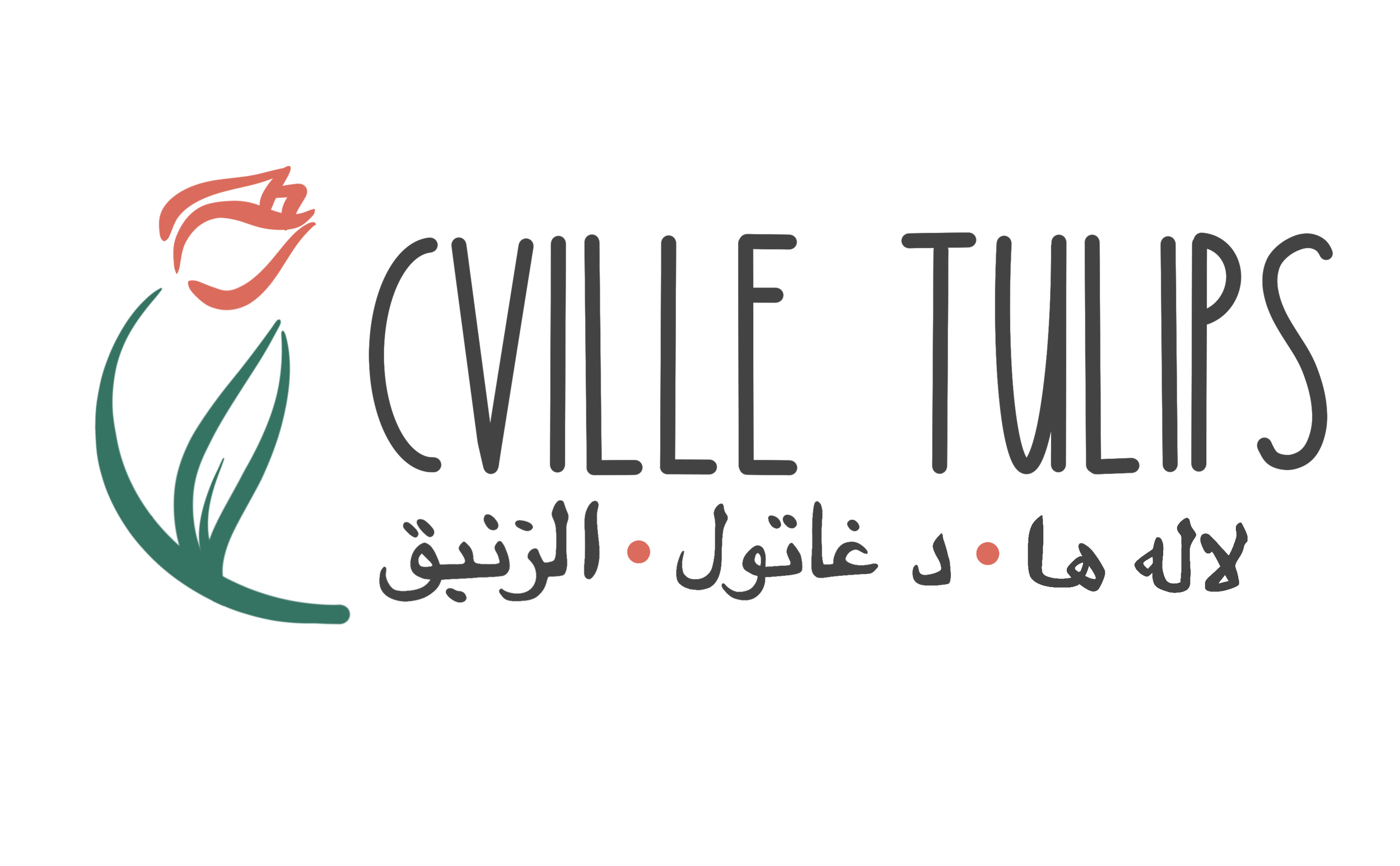 Cville Tulips
