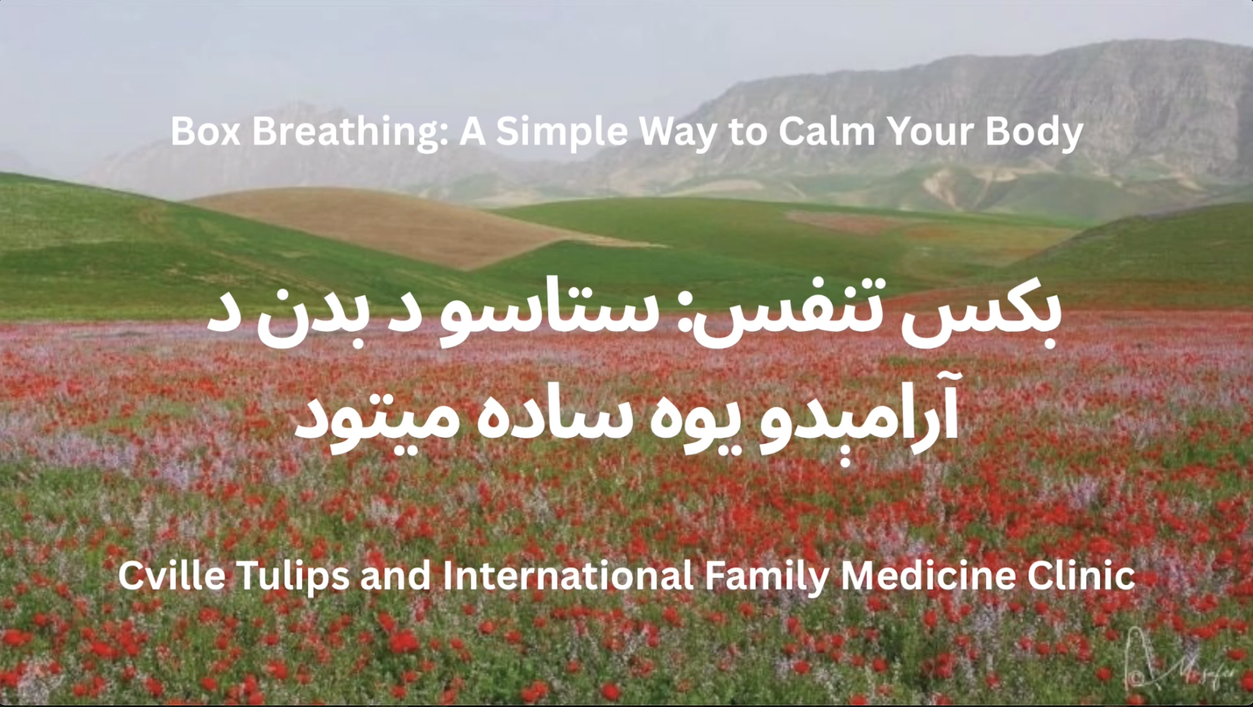 Related Video Item Thumbnail