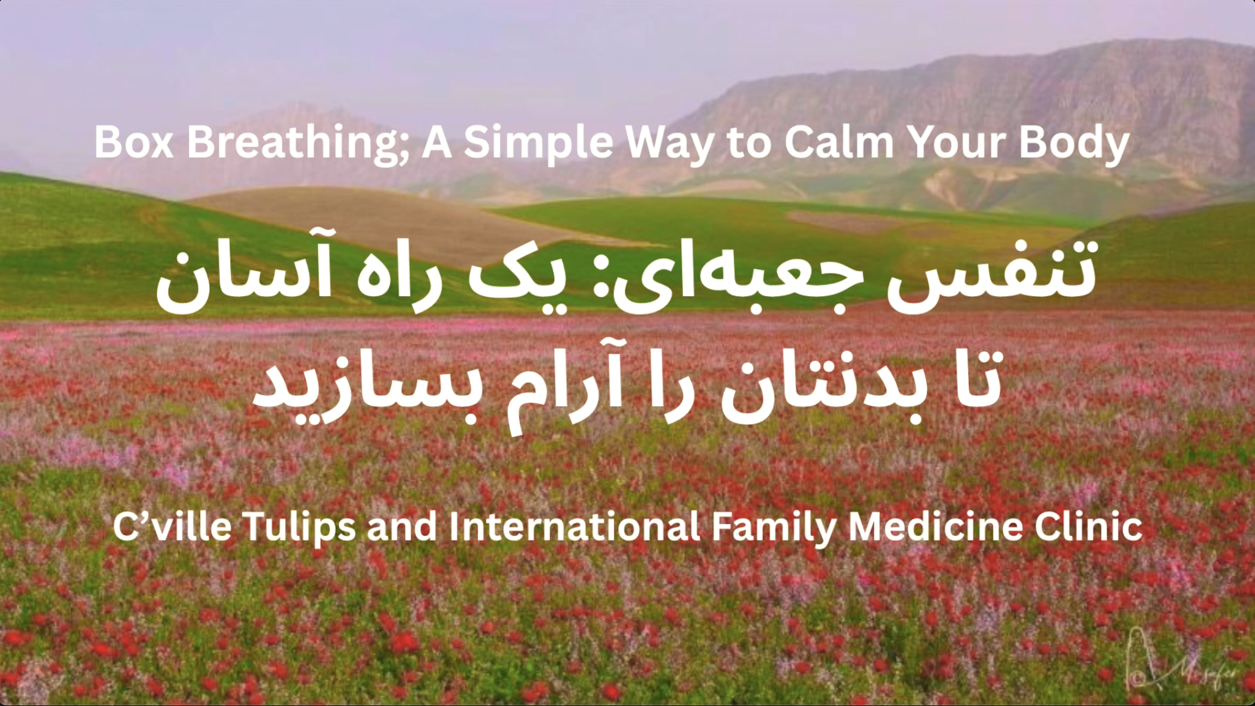 Related Video Item Thumbnail