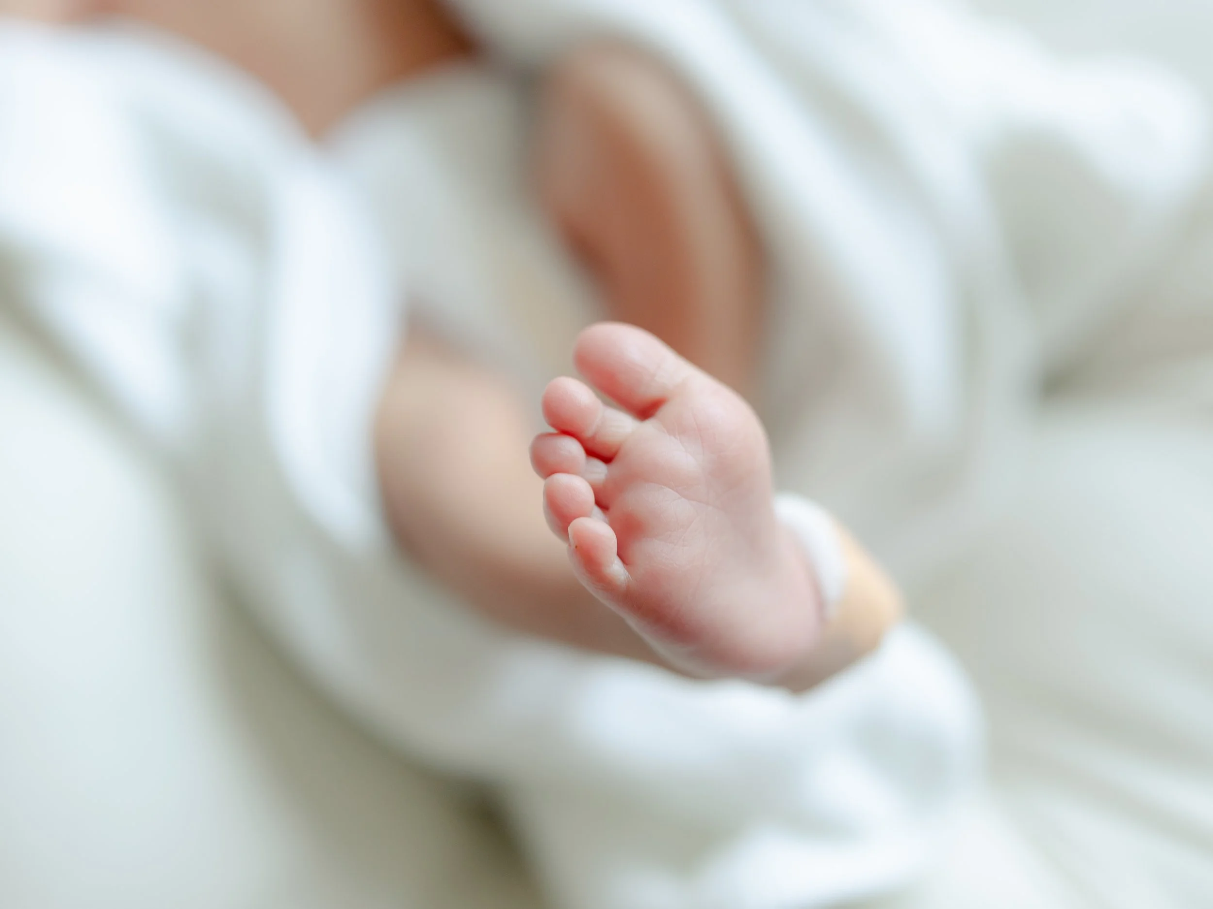 Close-up of a baby's foot with a soft focus background.