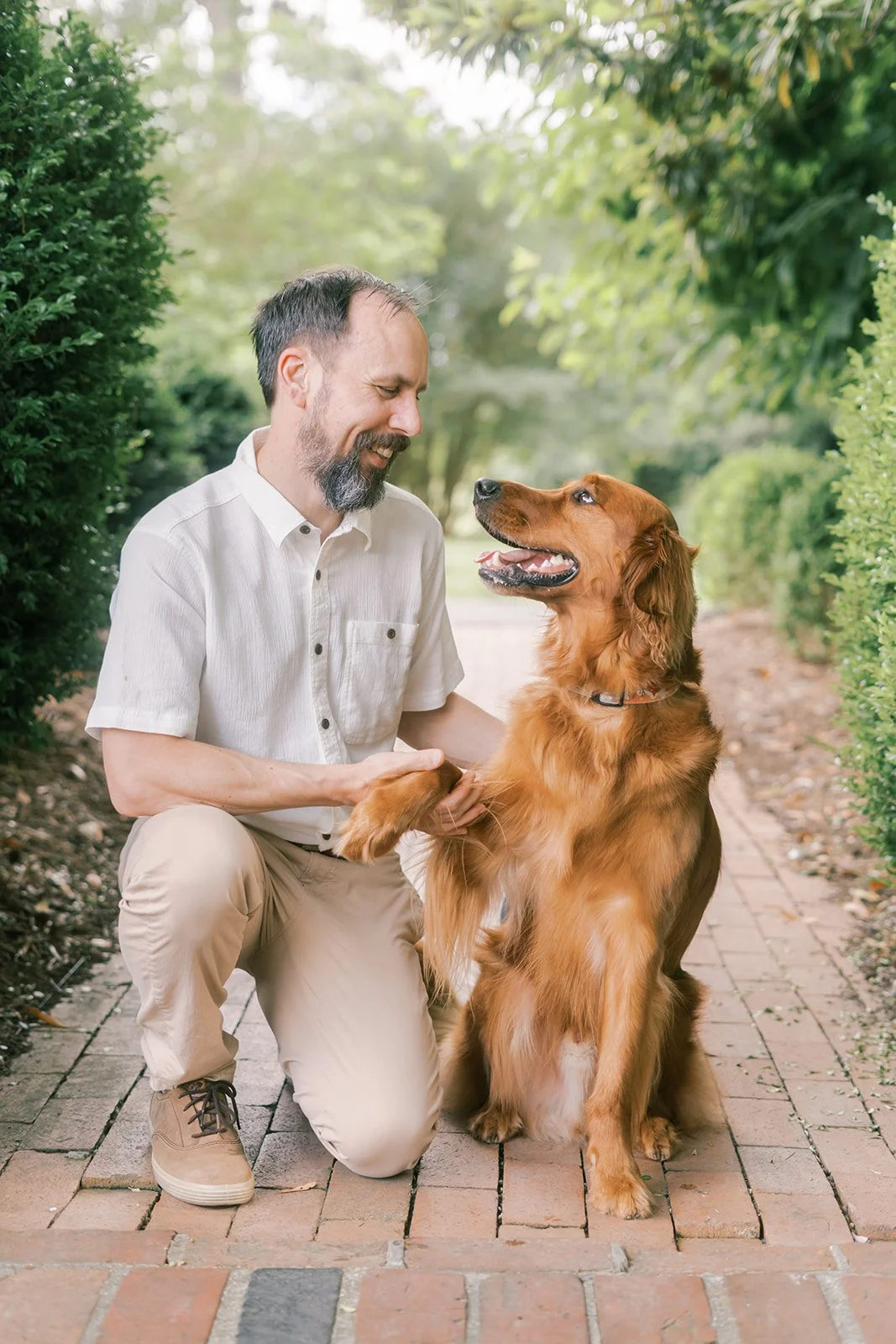 A man kneeling on a brick pathway, holding the paw of a Golden Retriever dog, both smiling at each other in a lush garden setting.