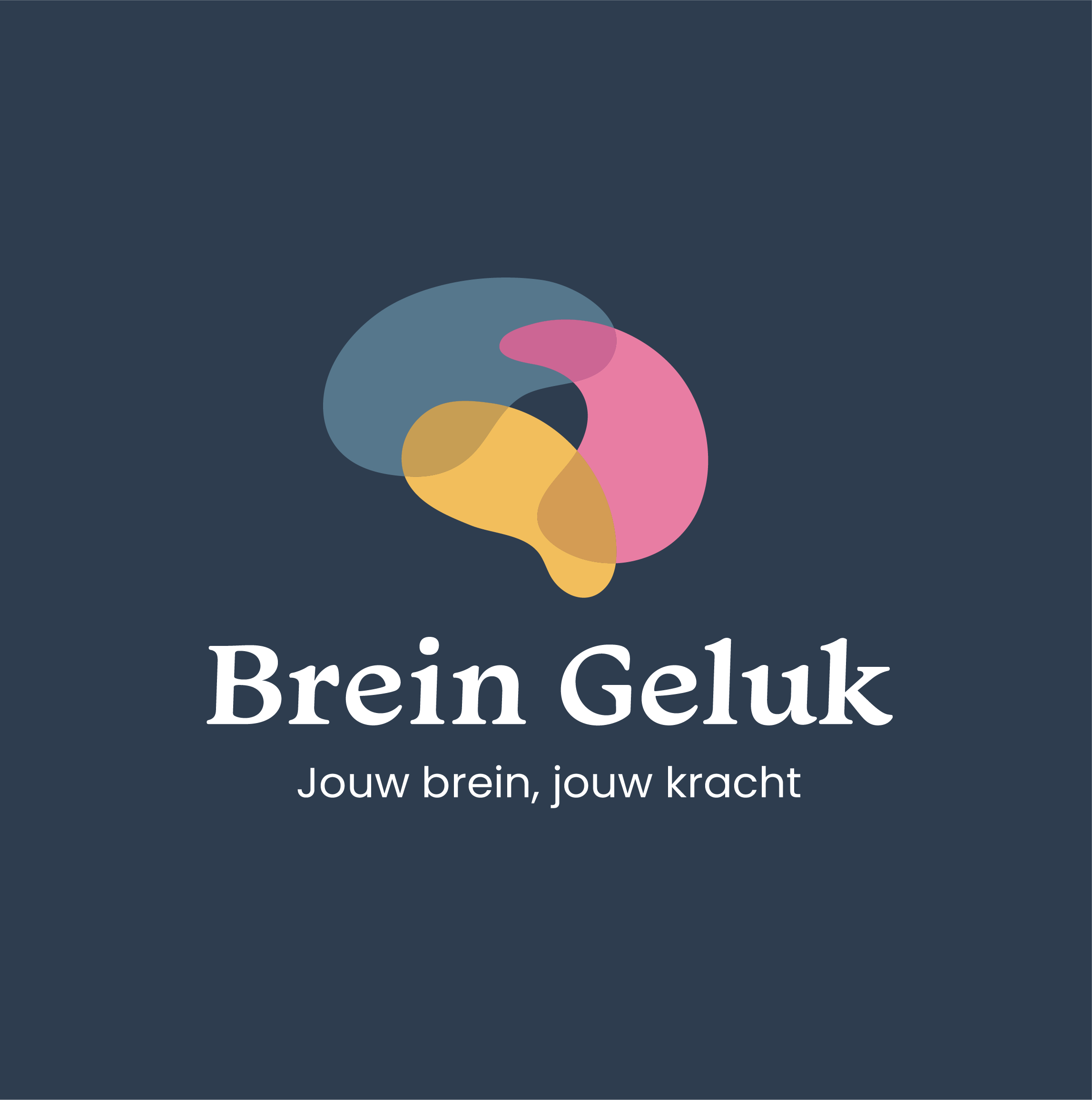 Brein Geluk Logo_wit.png