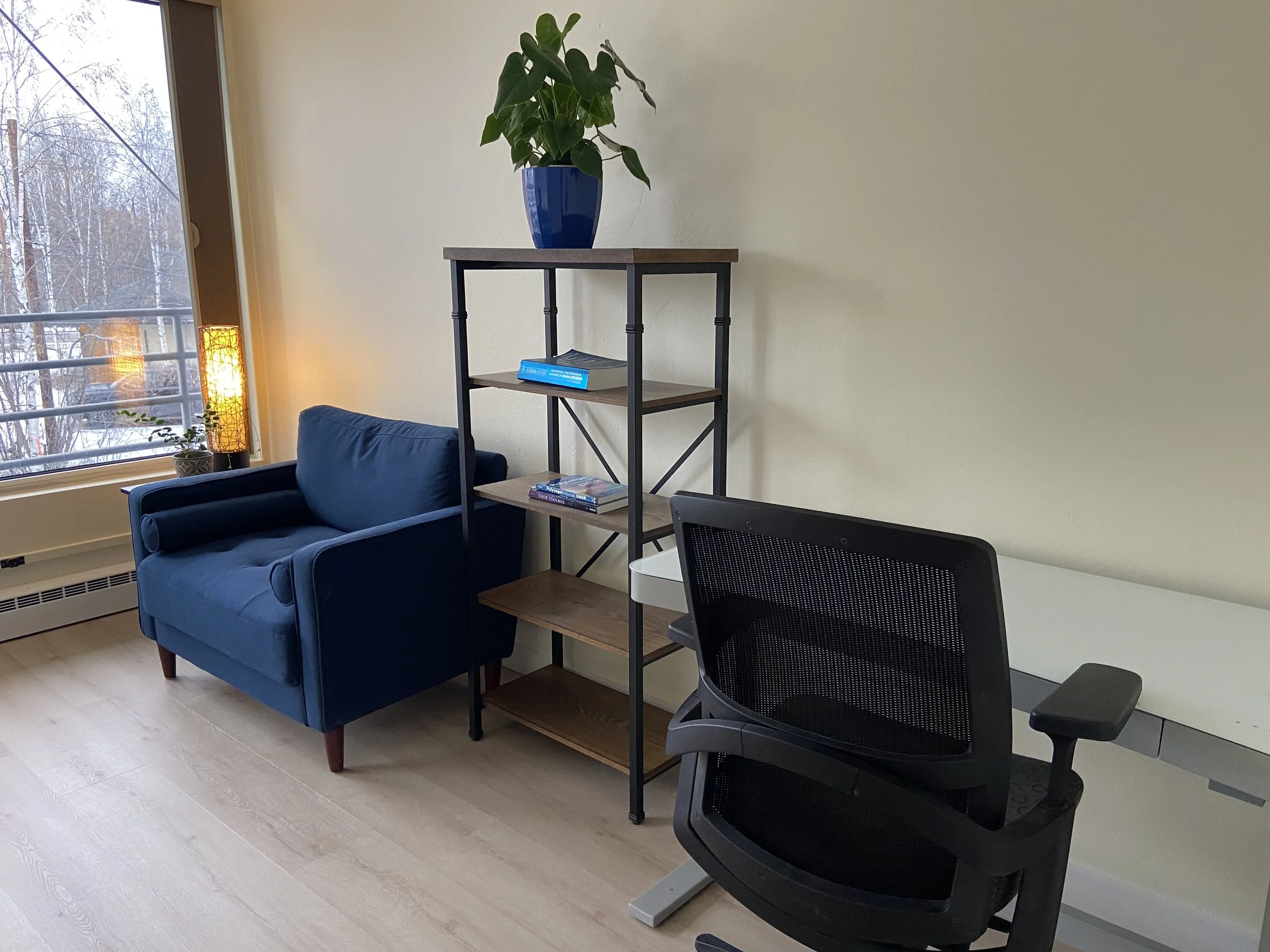 Empty office waiting for a new therapist.