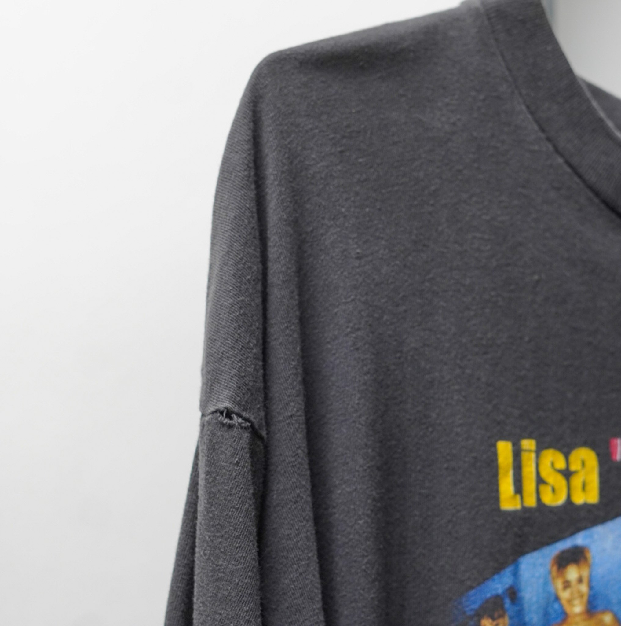 LISA details-3.jpg