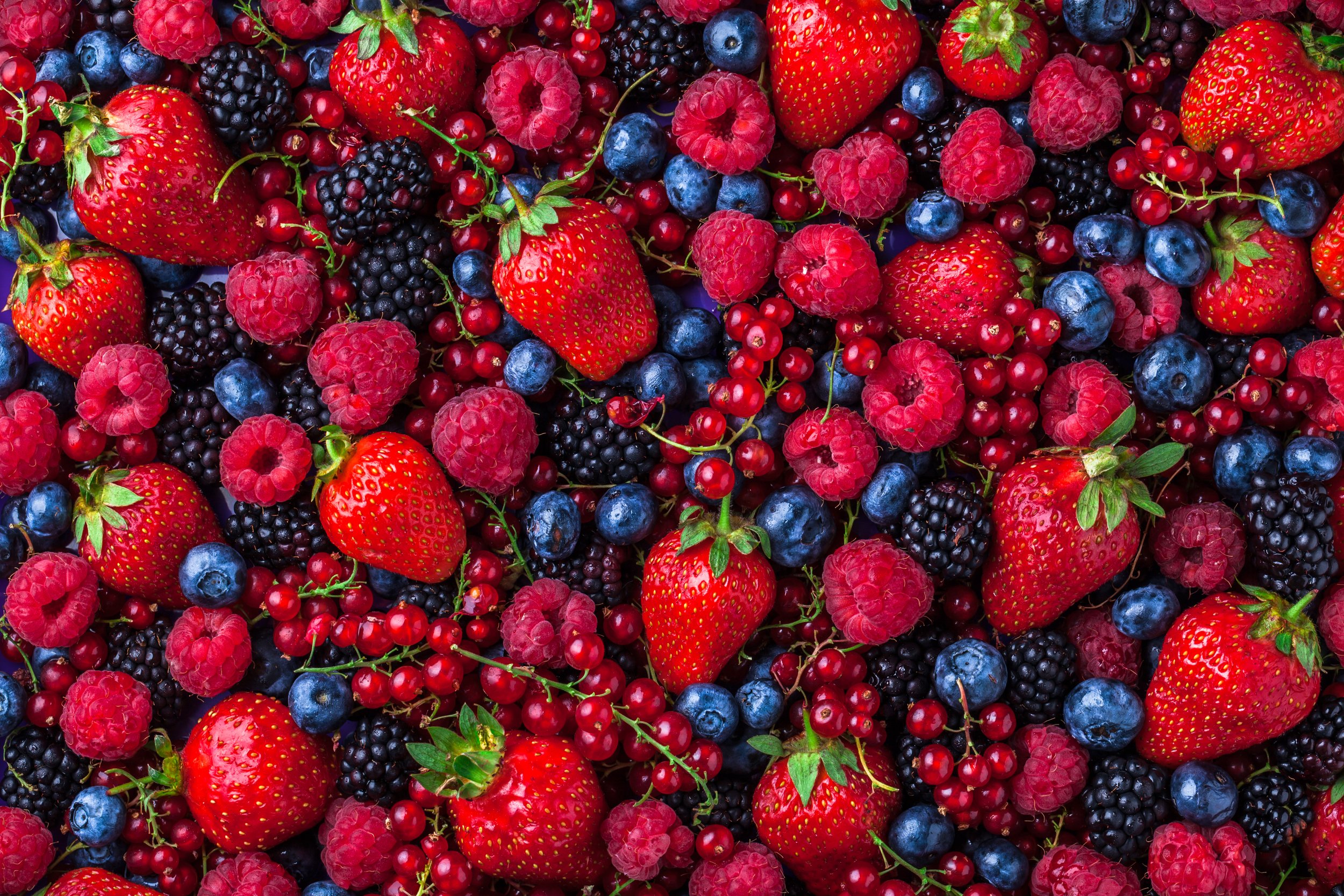 iStock-610771802.jpg