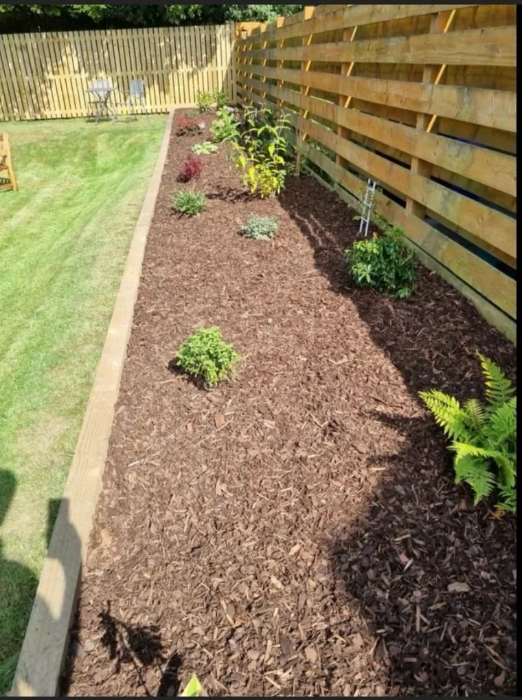 A soil bed with new plants and a mulch cover.