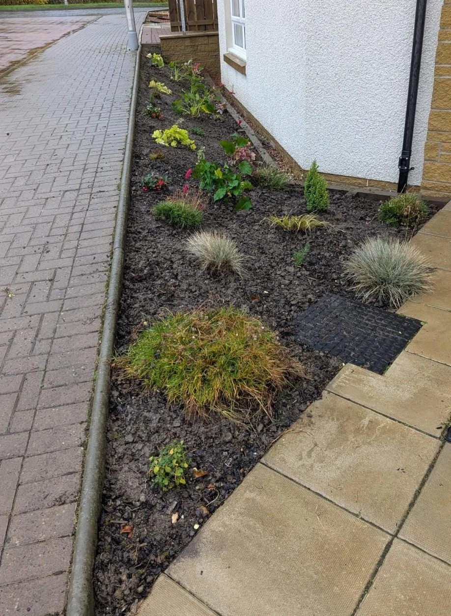A freshly planted flower bed with seasonal interest and low maintenance.