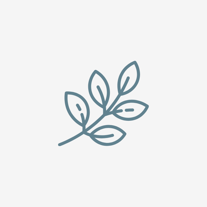 icon of branch with leaves