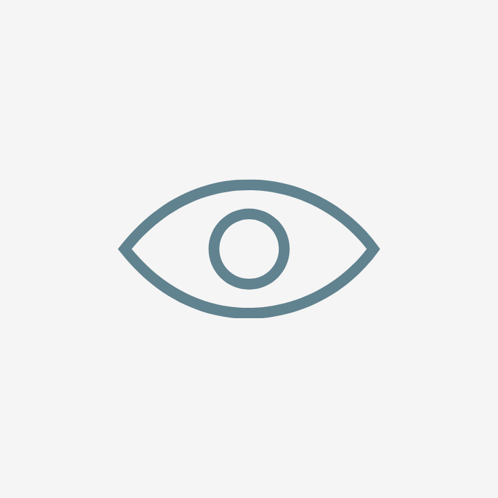 icon of eye