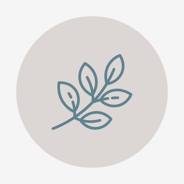 leaf outline