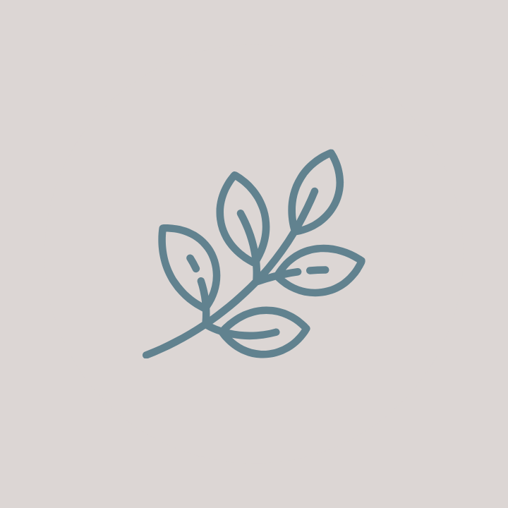 leaf outline icon