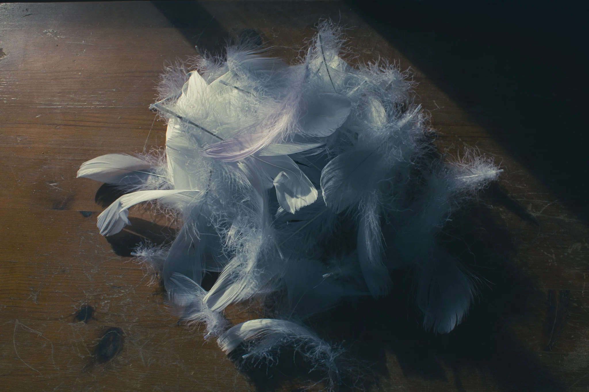 IMG_6882-3.jpg