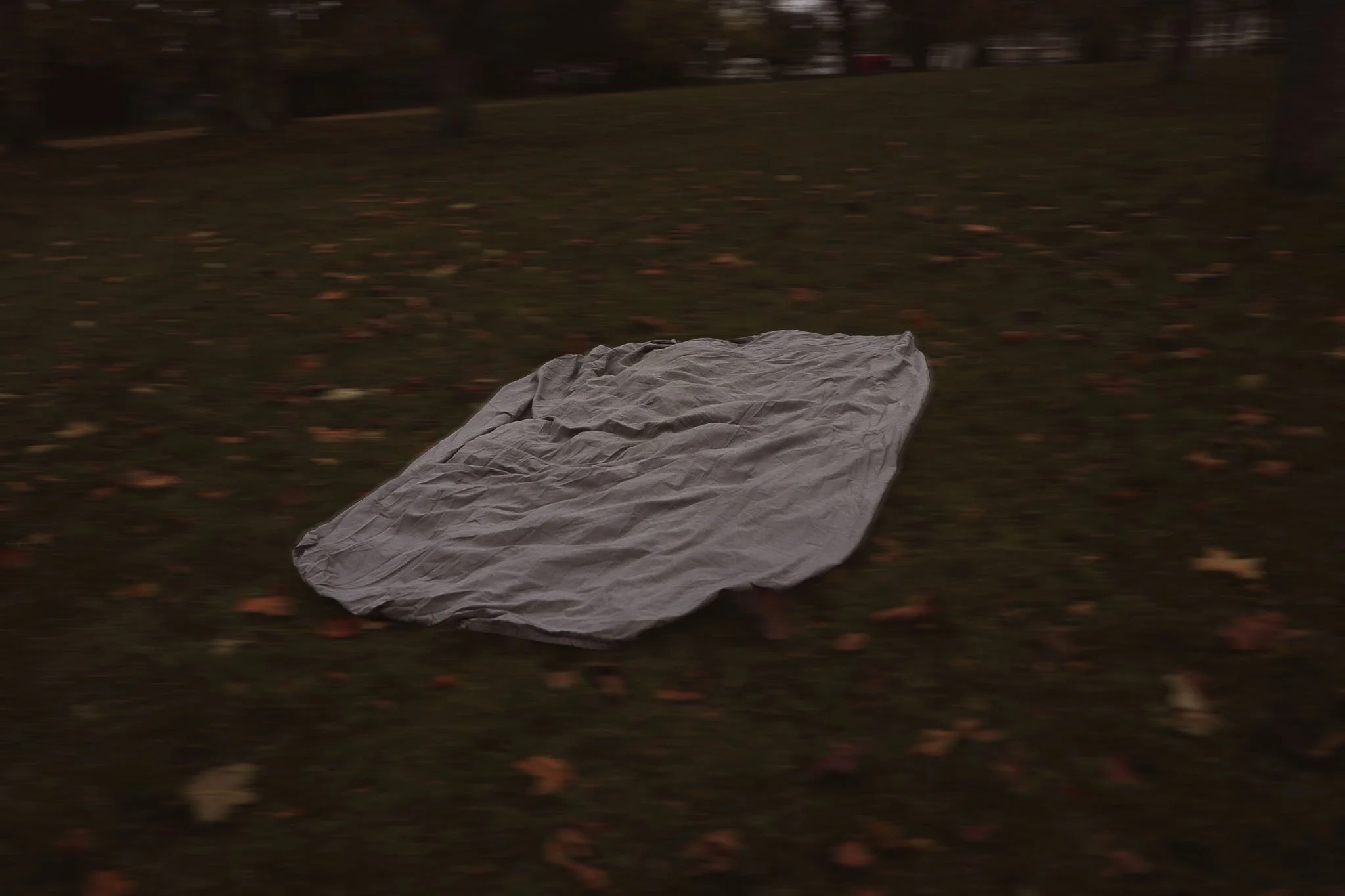 IMG_9420 blurred .jpg