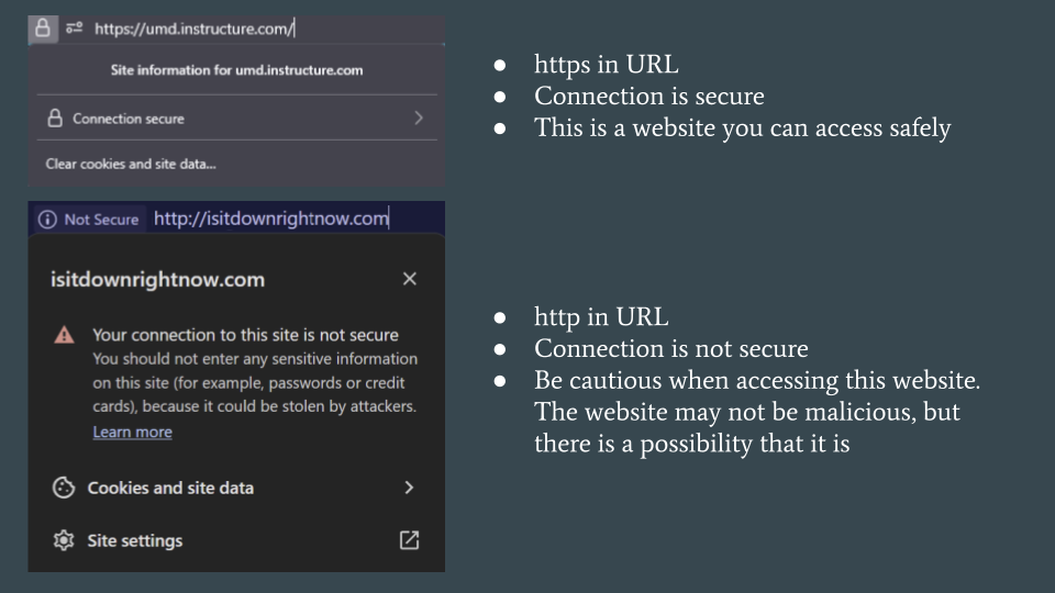 International Fraud Awareness Week (8).png