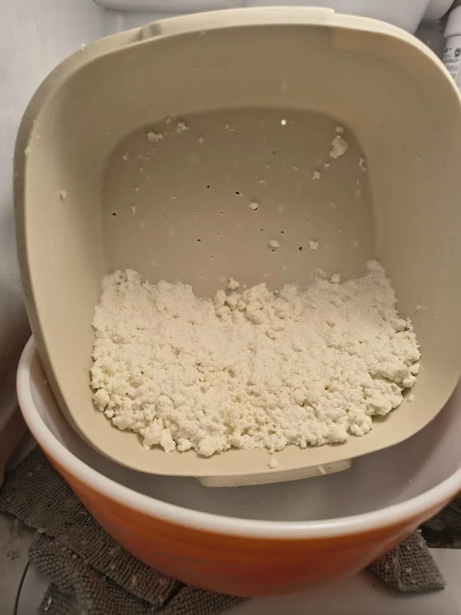 Mozzarella Cheese