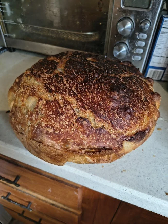sourdough
