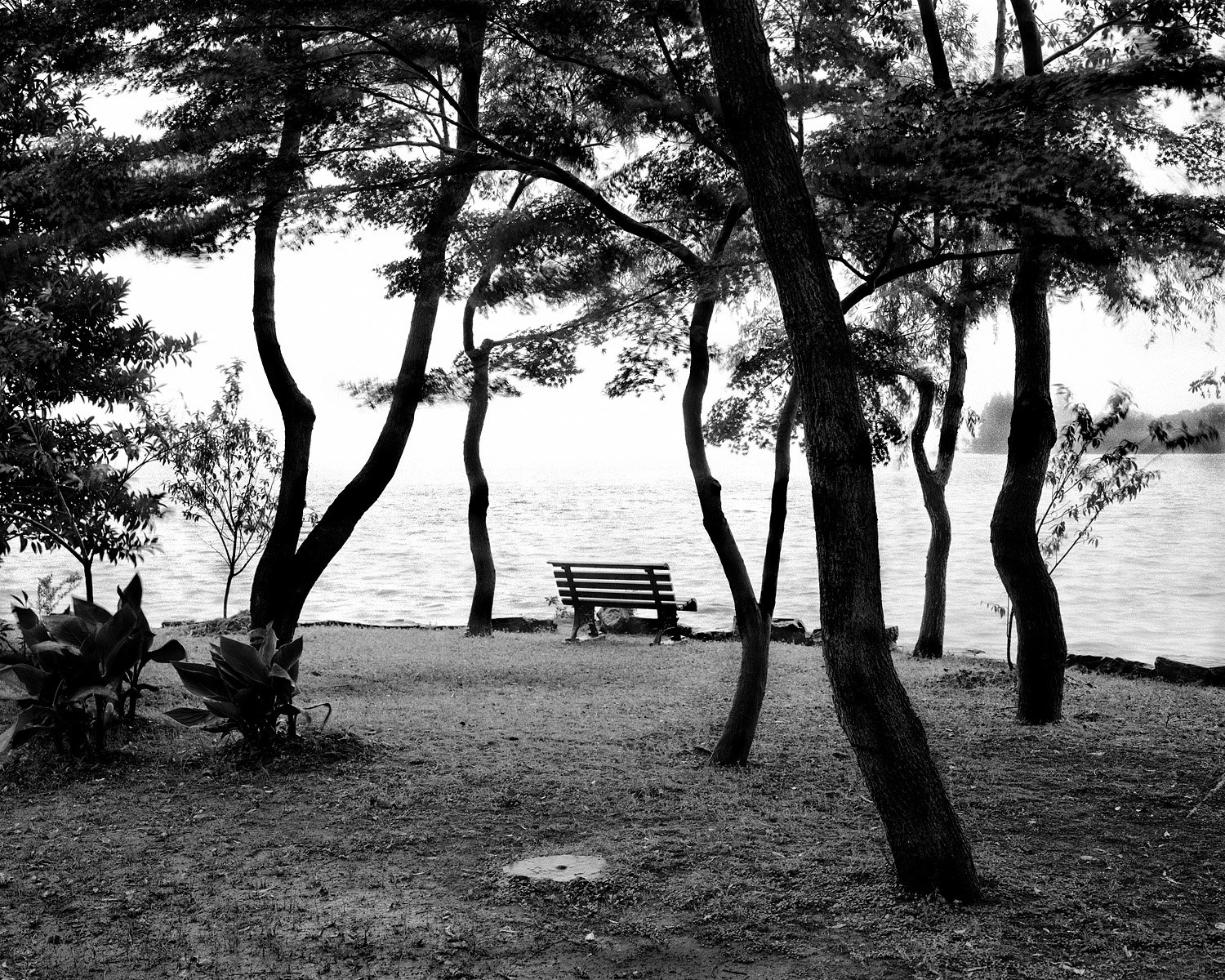 Trees and a lakeside bench overlooking West Lake in Hangzhou, Zhejiang Province, photographed in 1986.