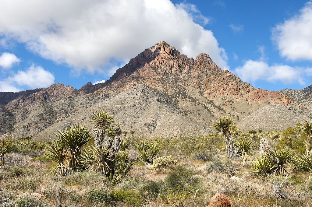 Providence Mountains SRA