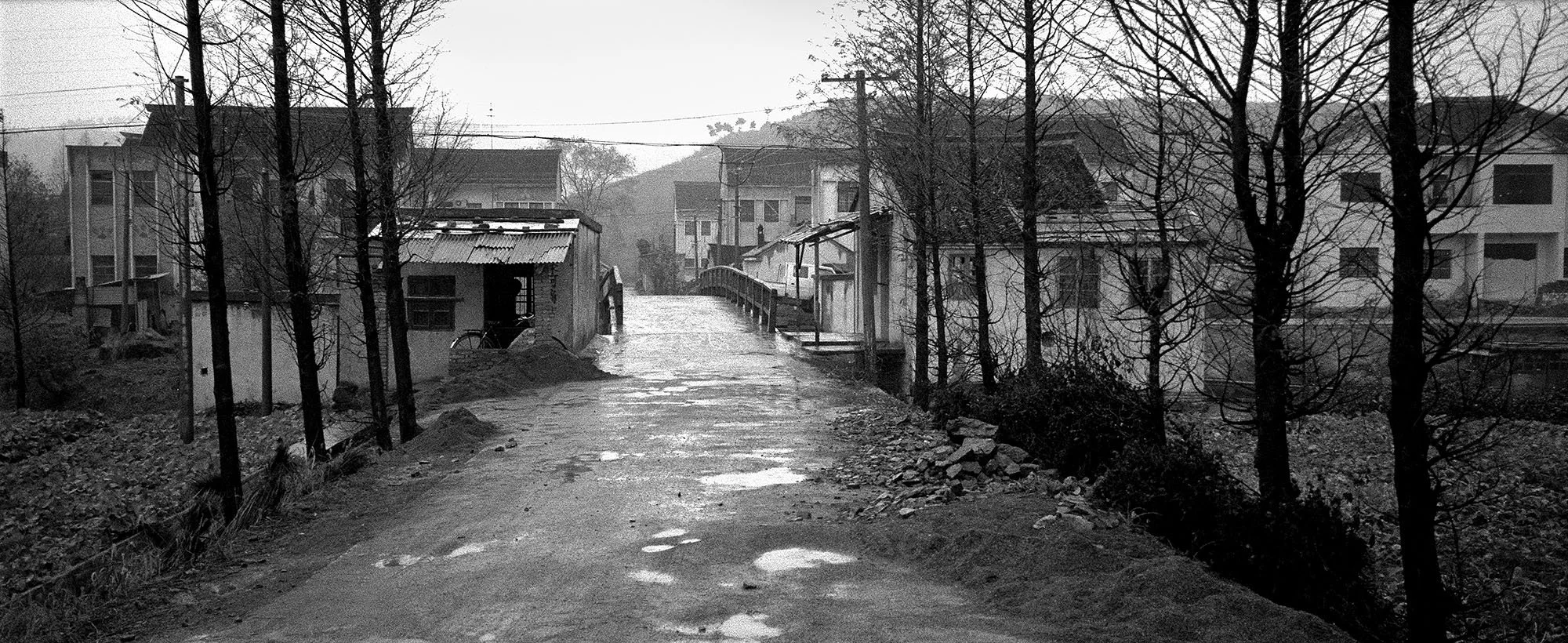 Rural village road lined with trees and low buildings in Shandong Province, photographed in 1995.