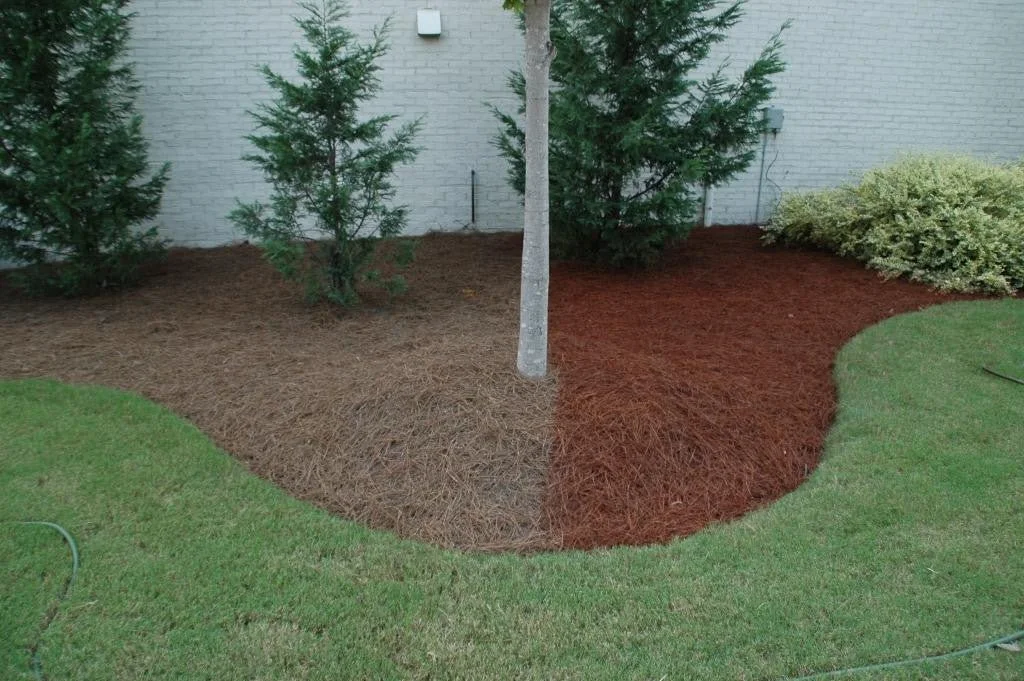 Eco-friendly landscaped garden bed in Santa Rosa Beach featuring a central tree surrounded by fresh pine straw mulch, neat edging, brick border, and background potted plants—professional installation by 30A Eco Straw for moisture retention and weed c