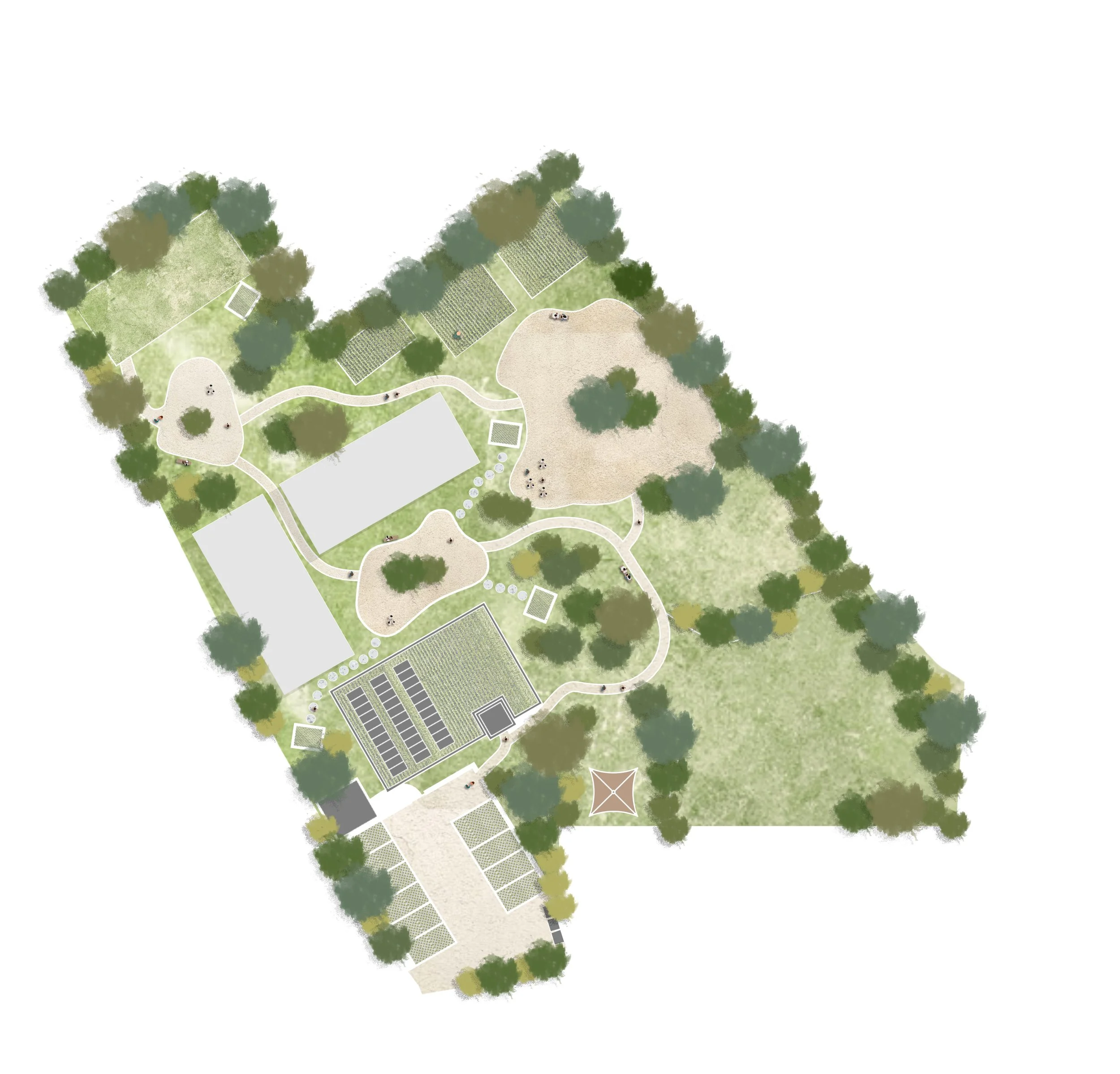 Meadow Pathways