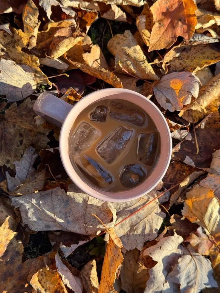 How to make more money in your wellness business in 2026