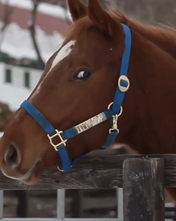 GGS Greenhouse Client Reel