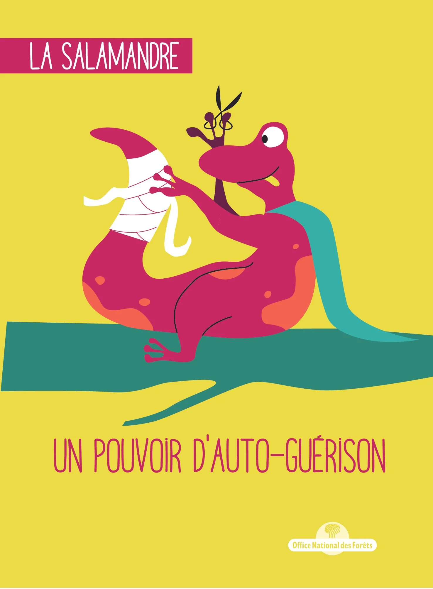 Une illustration d'une salamandre rose avec un arbre et une branchage derrière elle, sur un fond jaune. Texte en français "La salamandre" et "Un pouvoir d'auto-guérison".