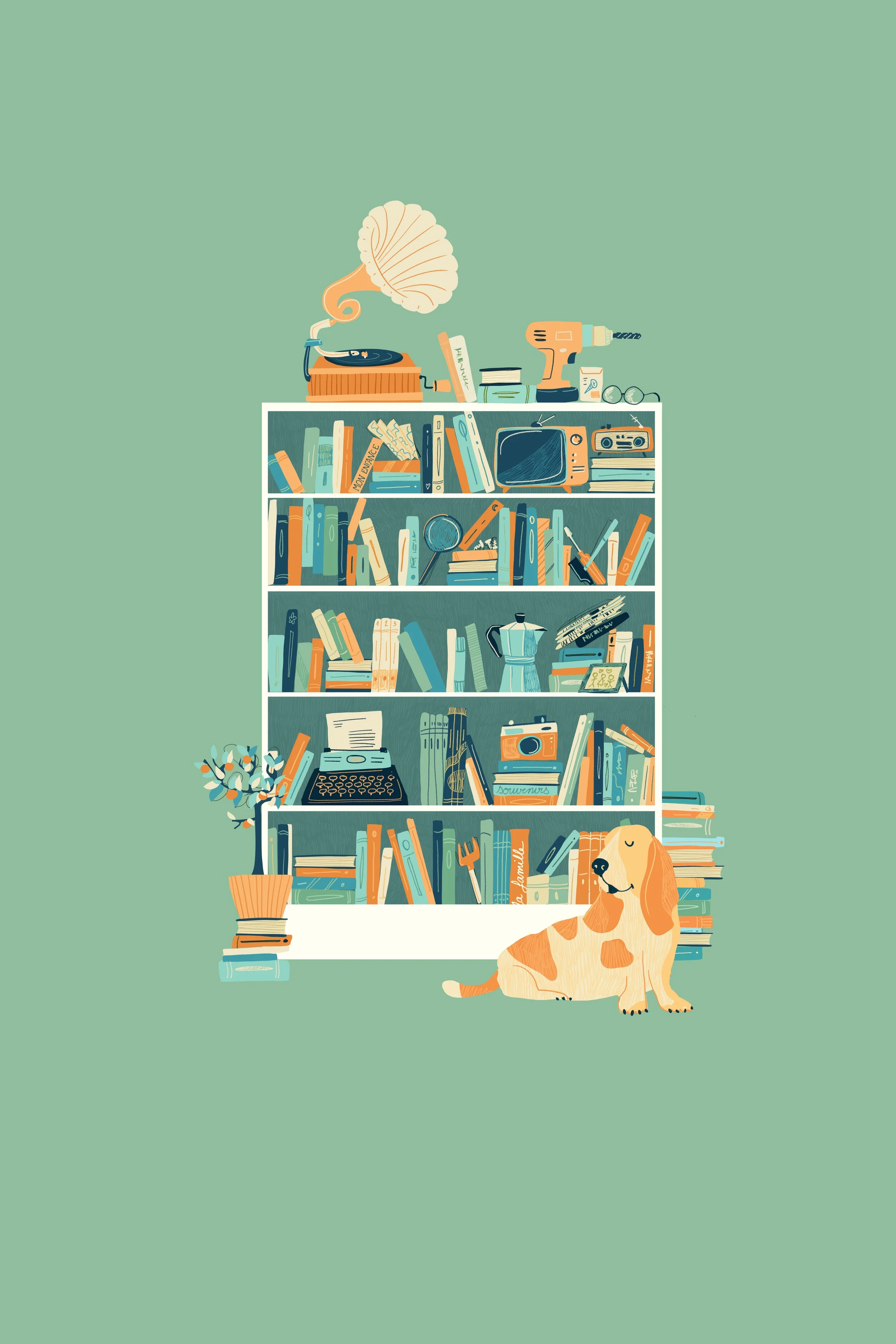 Une illustration d'une étagère pleine de livres, avec divers objets comme un tourne-disque avec un disque tournant, une perceuse, une télévision, une cassette, une paire de lunettes, et un vase avec des fleurs. Un chien à poils longs orange blanc repose devant l’étagère, sur un fond vert clair.