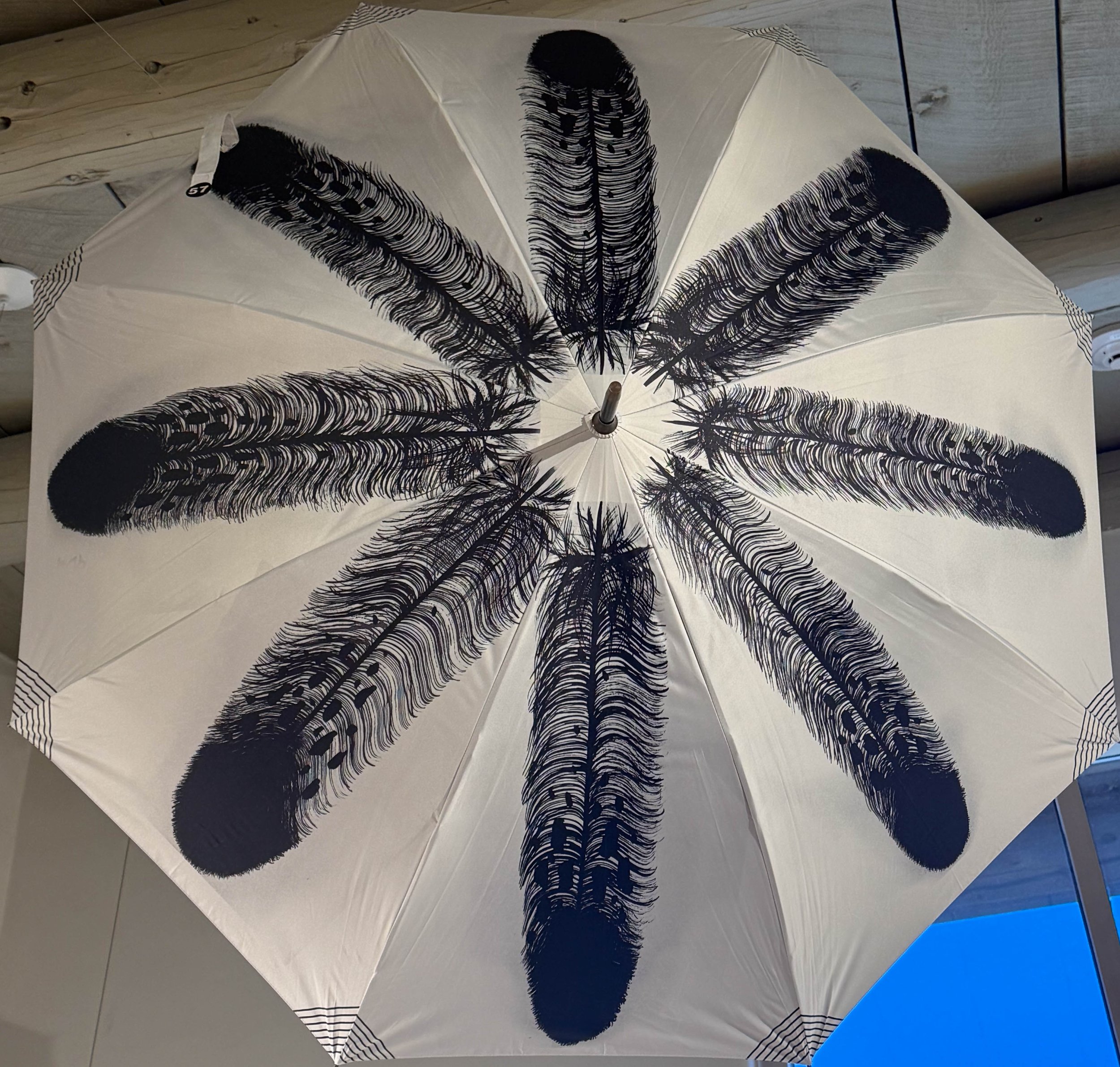 57 Patricia Michaels - Eagle Feather Umbrella
