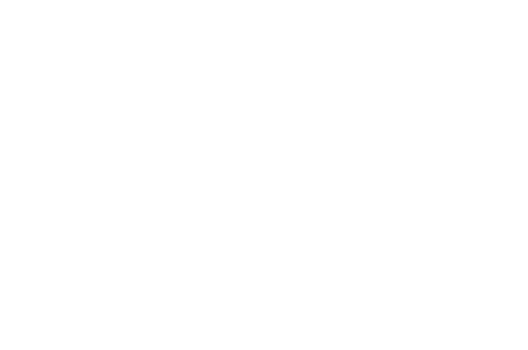 OFFICIAL SELECTION - Florence International Film Festival - 2024.png
