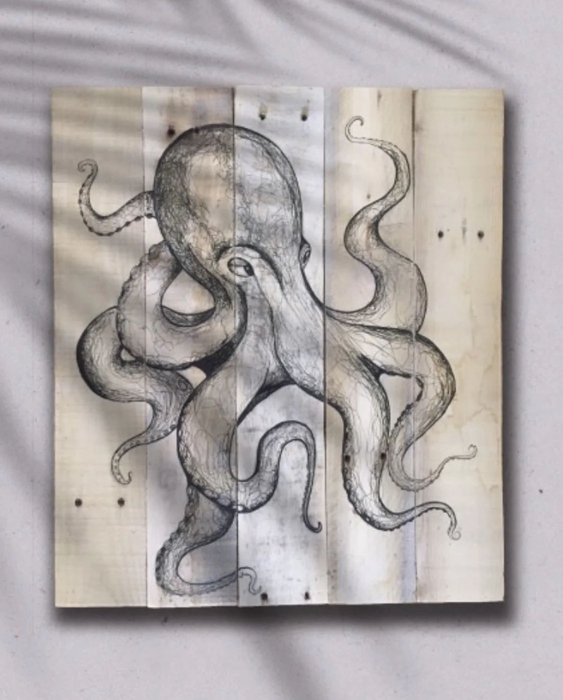 Octopus