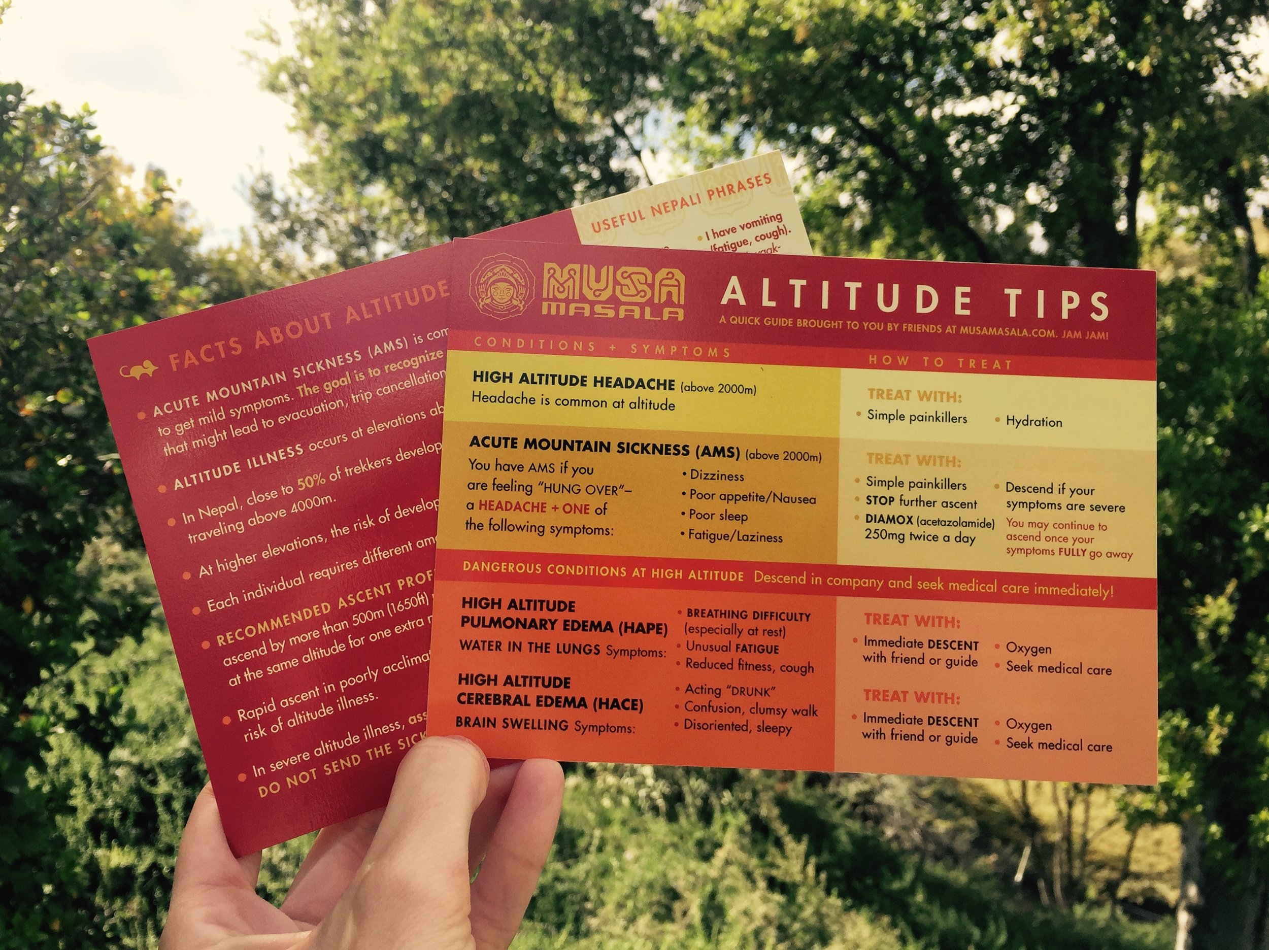Altitude Illness: Tips to Stay Healthy
