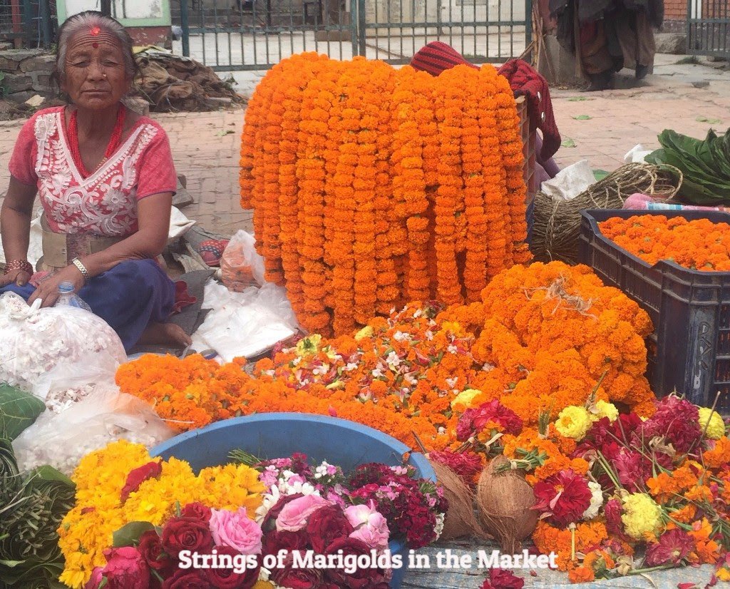 Bees, Bamboo and Marigolds: Global Race 4 Good
