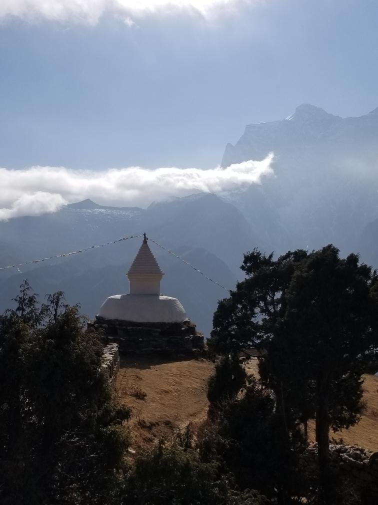 COVID-19 in Nepal