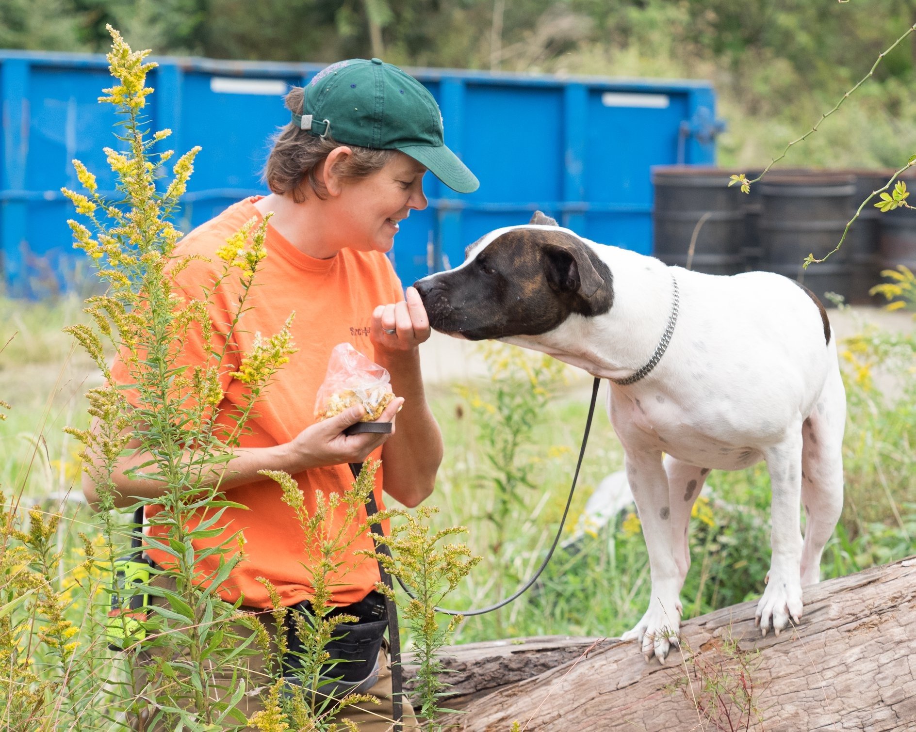 Search and Rescue Dogs: Interview with Jana Thompson