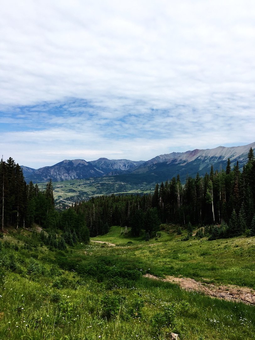 Musa Masala Goes to Telluride: WMS Conference 2016