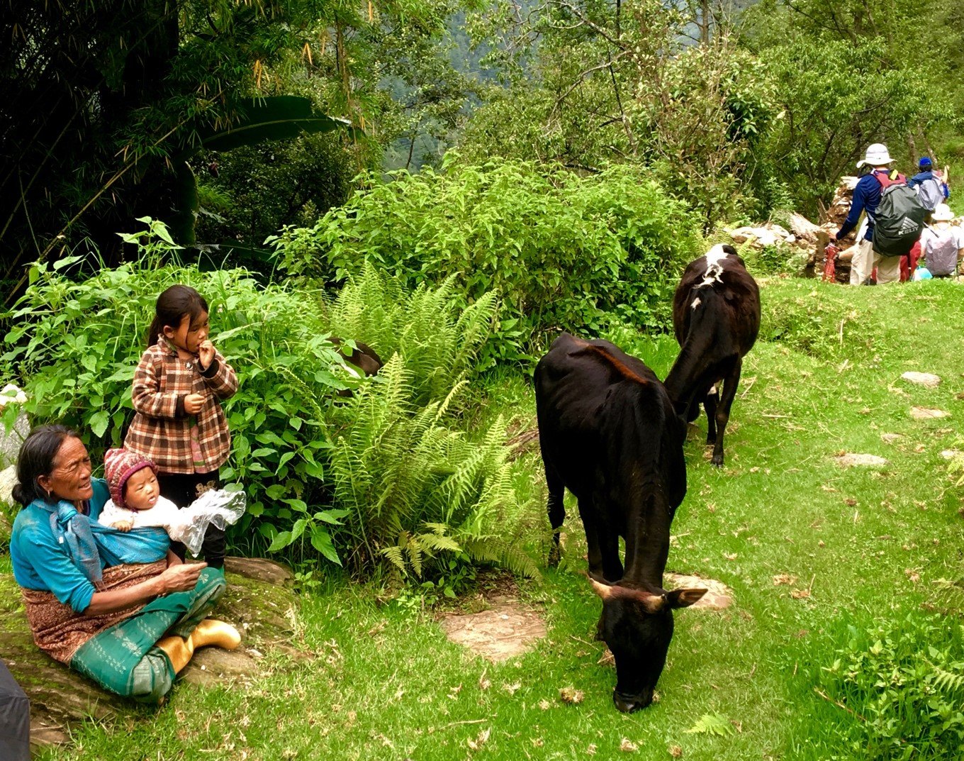 In the Footsteps of the Dhami: My Travels with Nepal Medical Project