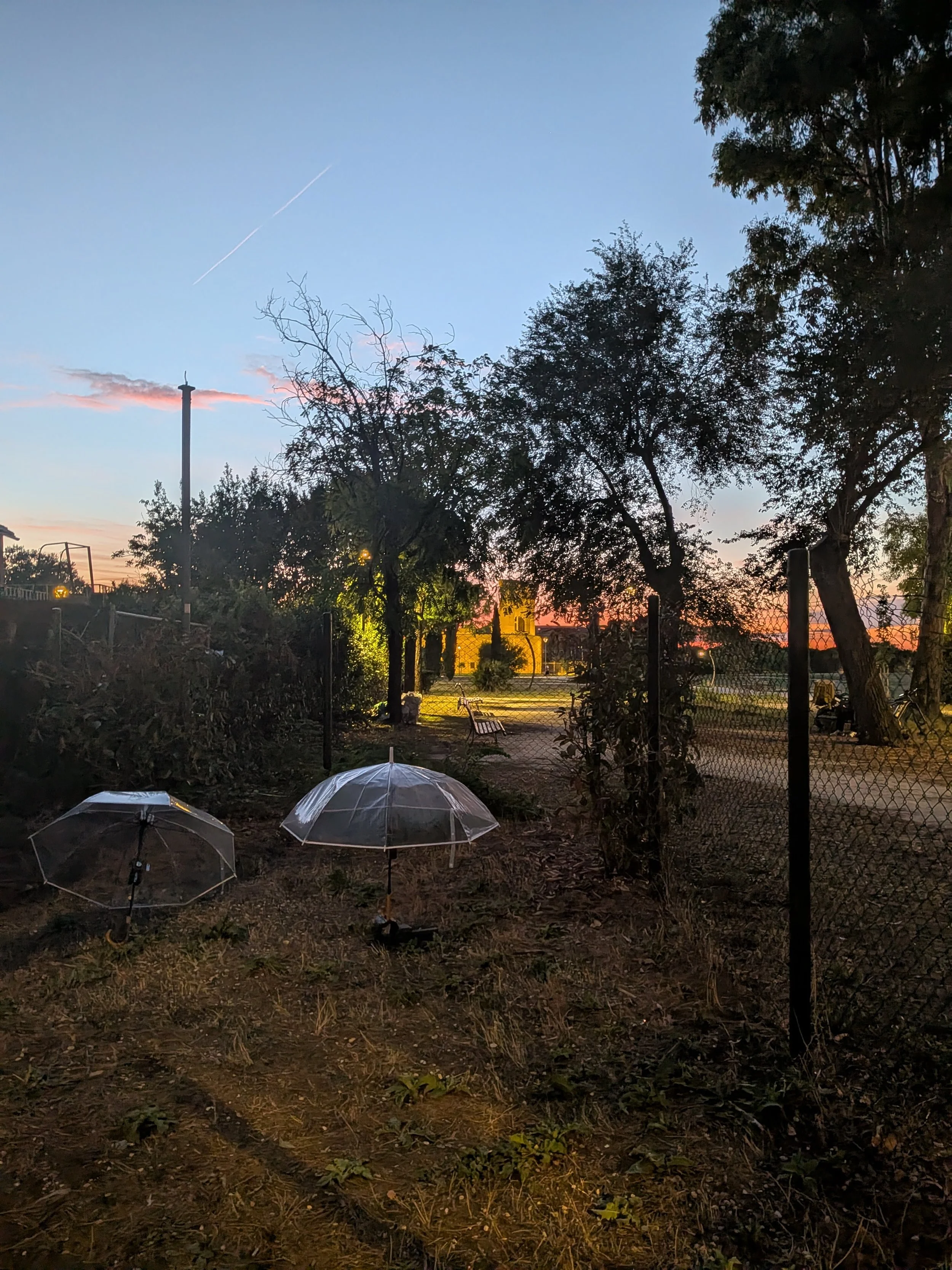 PXL_20260914_175129200.jpg