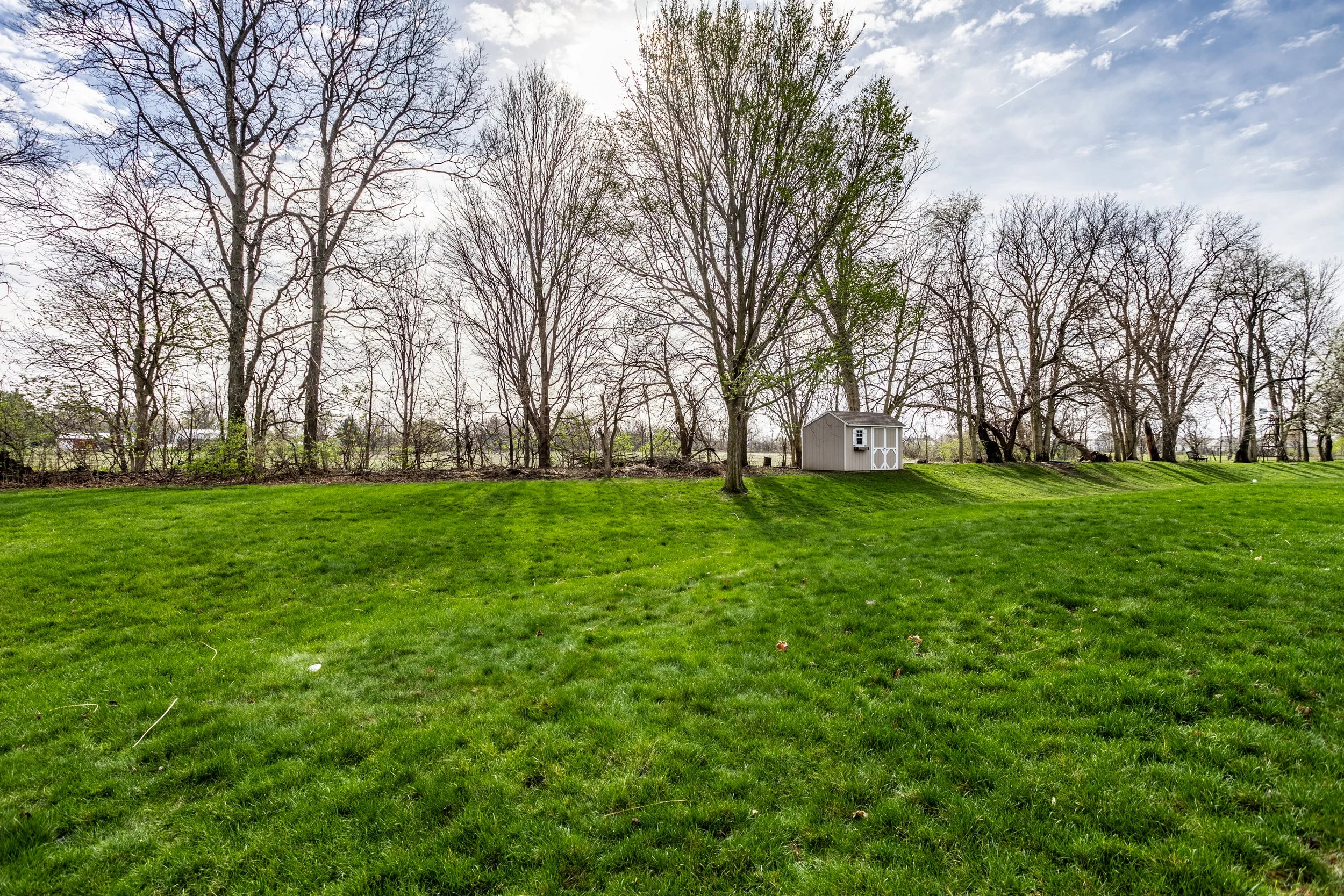 Lush green lawn with a small shed and bare trees in the background under a cloudy sky.