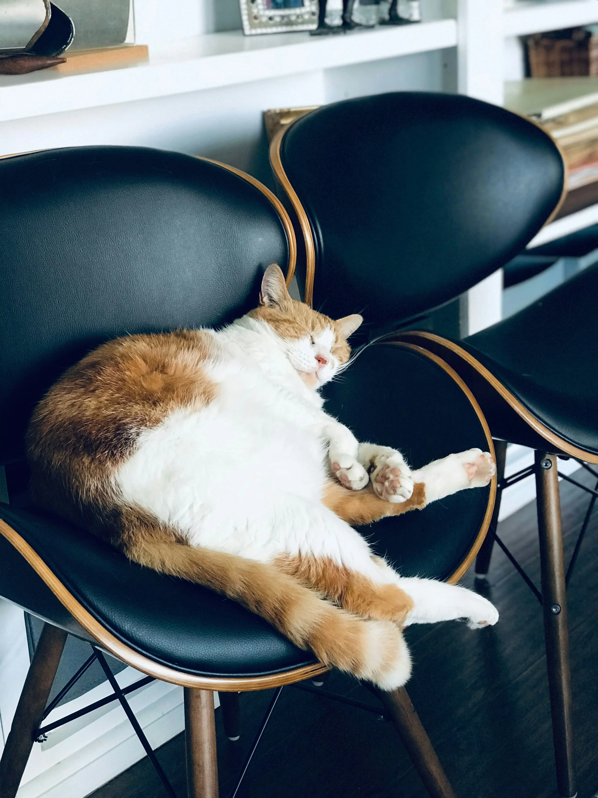When 8 Hours of Sleep Isn’t Possible: How to Use the 7 Types of Rest to Recharge (part 1)