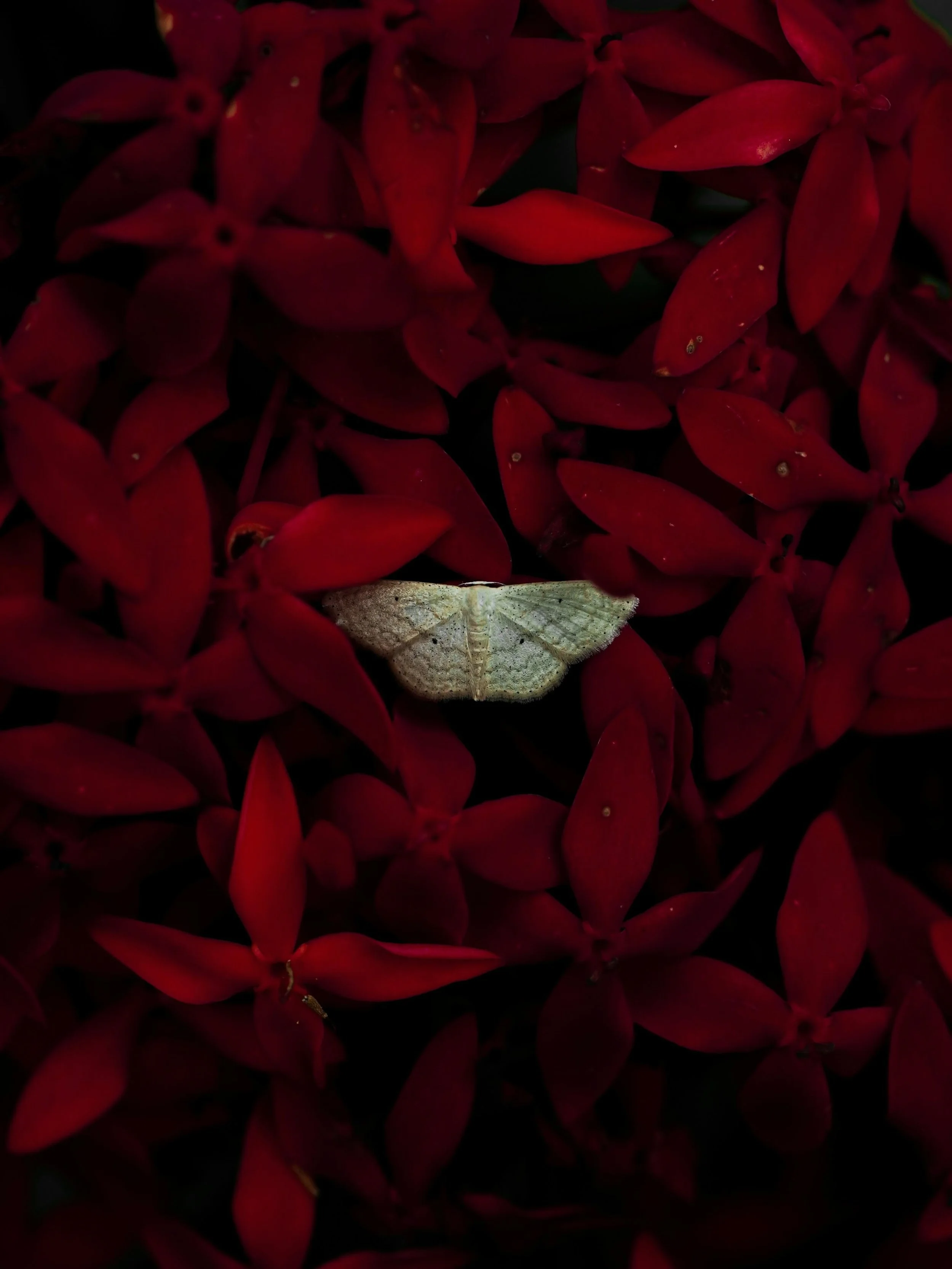 Why is it when we become a mother, it means an unbecoming of ourselves?

We have to bounce back to a better version of who we are or who we once were, we cannot simply exist in the present 

We have let ourselves go, fallen, failed, stopped putting i