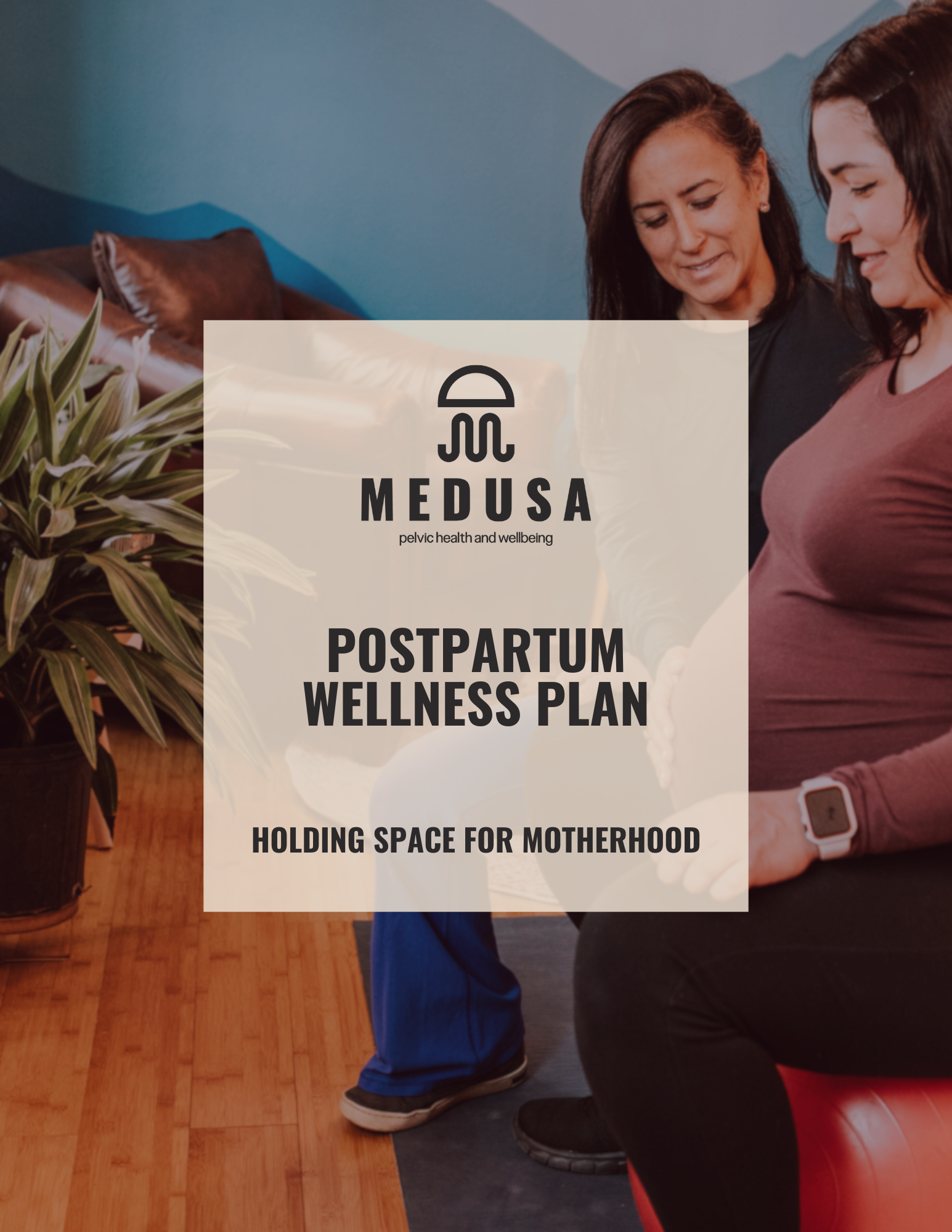 Postpartum Blueprint Page 1.png