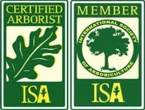 ISA logo