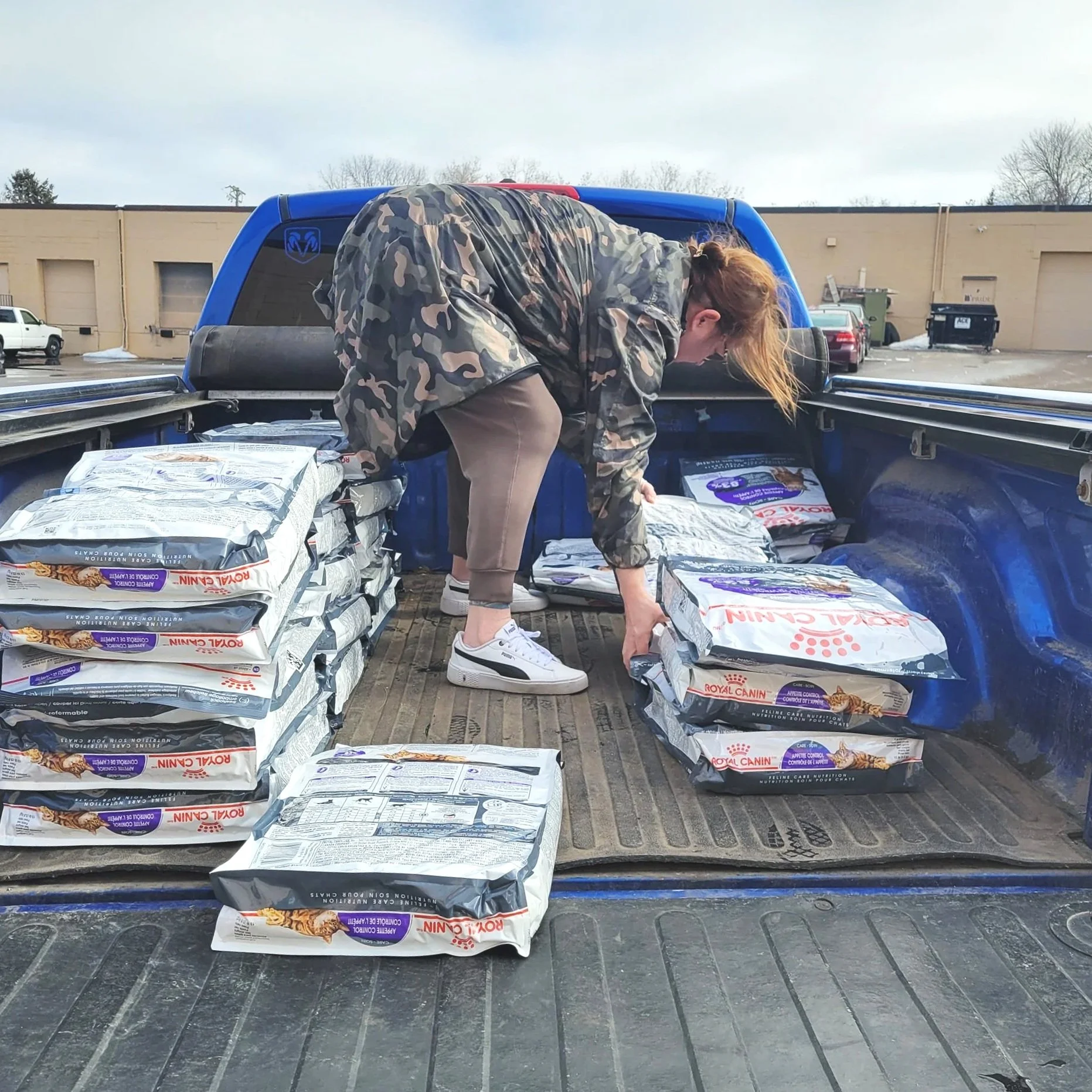 A woman loading bags of dog food into the bed of a blue pickup truck in a parking lot.